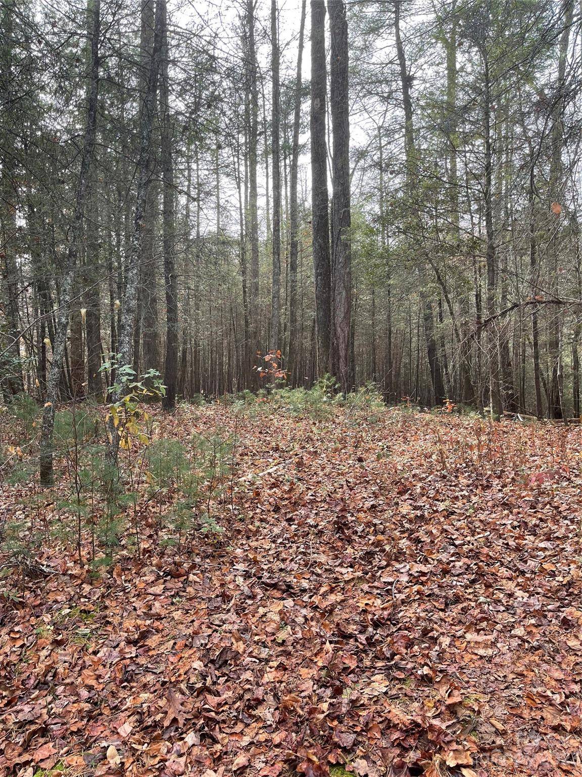 50 Mountain Escape DR, Zirconia, NC 28790