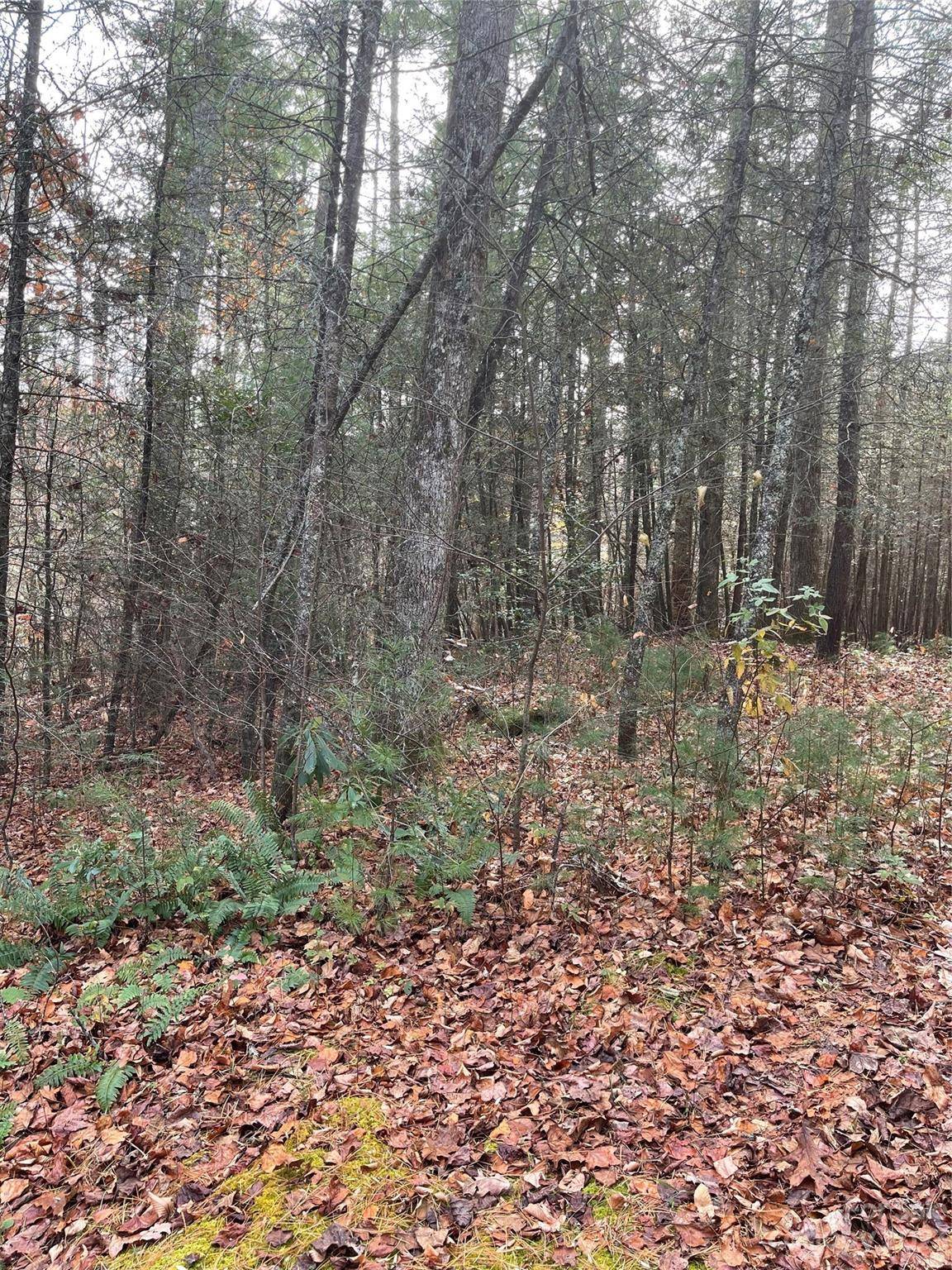 50 Mountain Escape DR, Zirconia, NC 28790