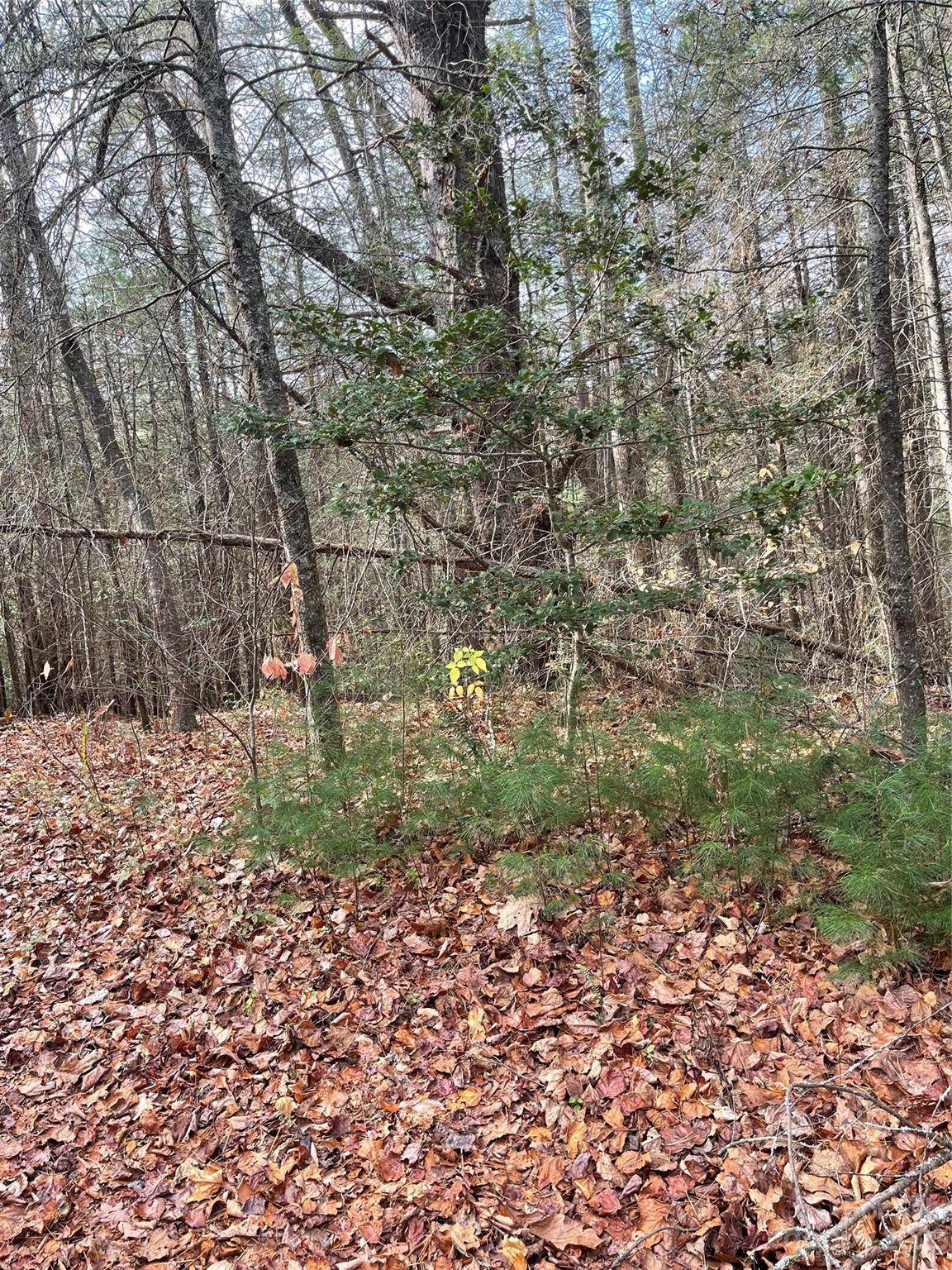 50 Mountain Escape DR, Zirconia, NC 28790
