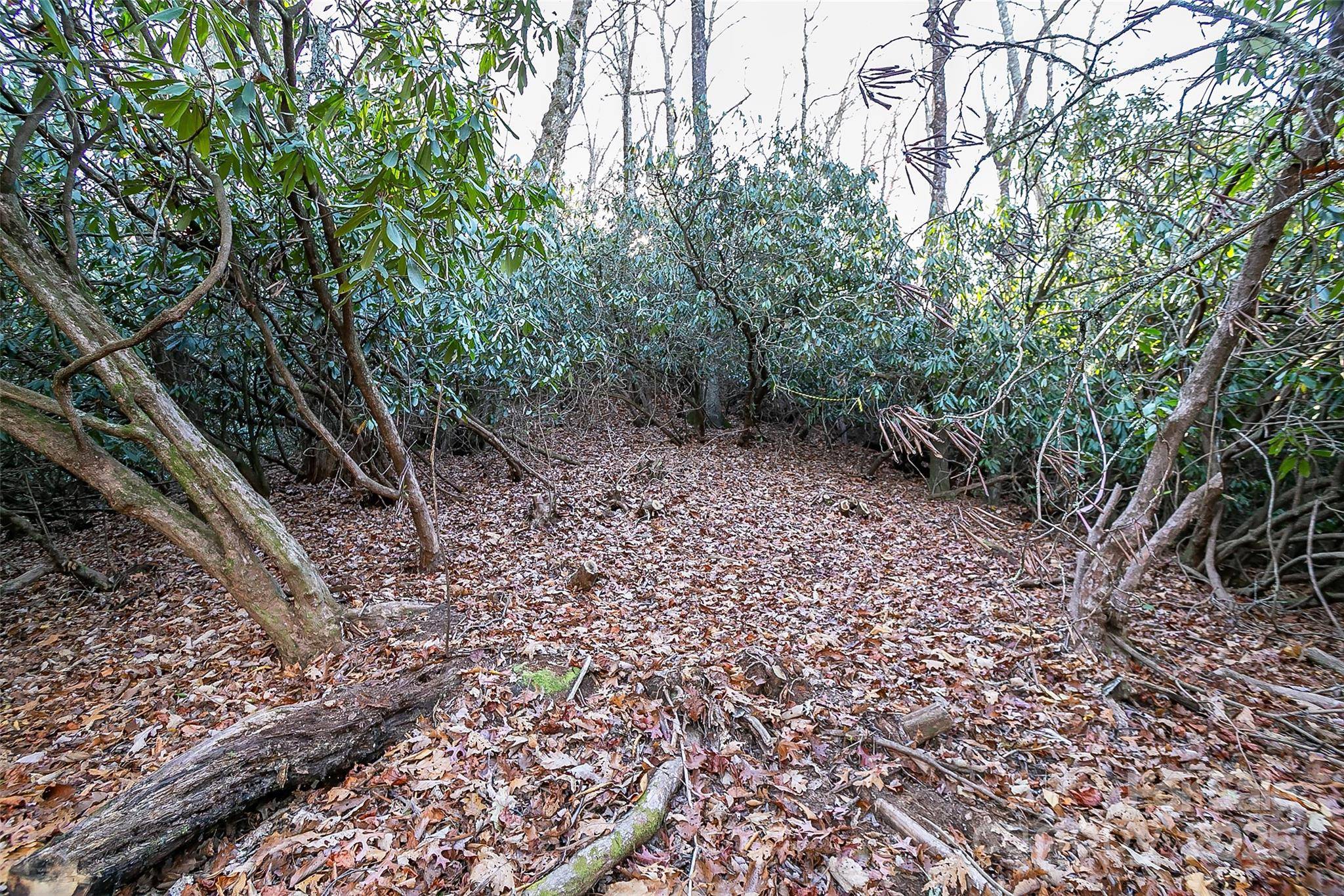 TBD Dundee LN #6A, Pisgah Forest, NC 28768