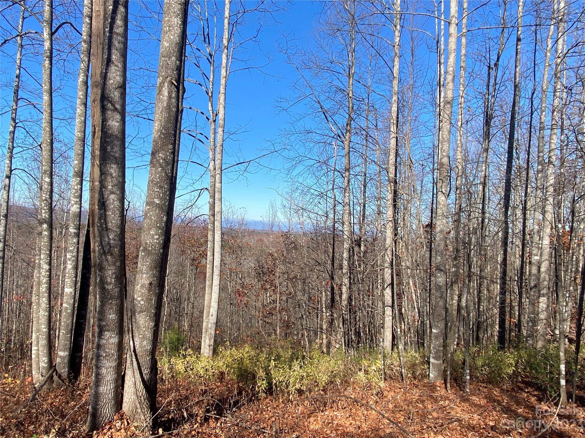 TBD Meditation Ridge DR #43, Nebo, NC 28761