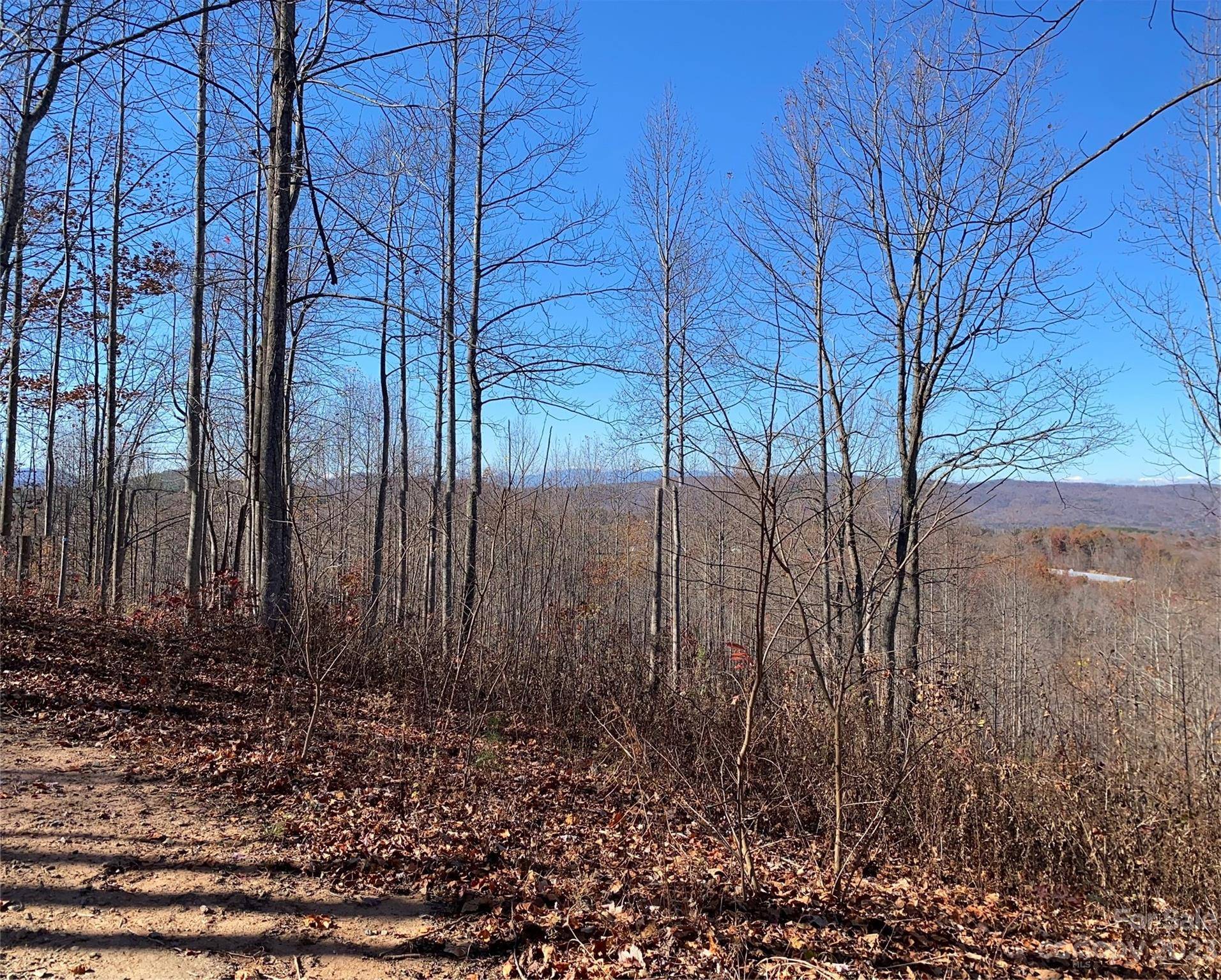 TBD Meditation Ridge DR #43, Nebo, NC 28761