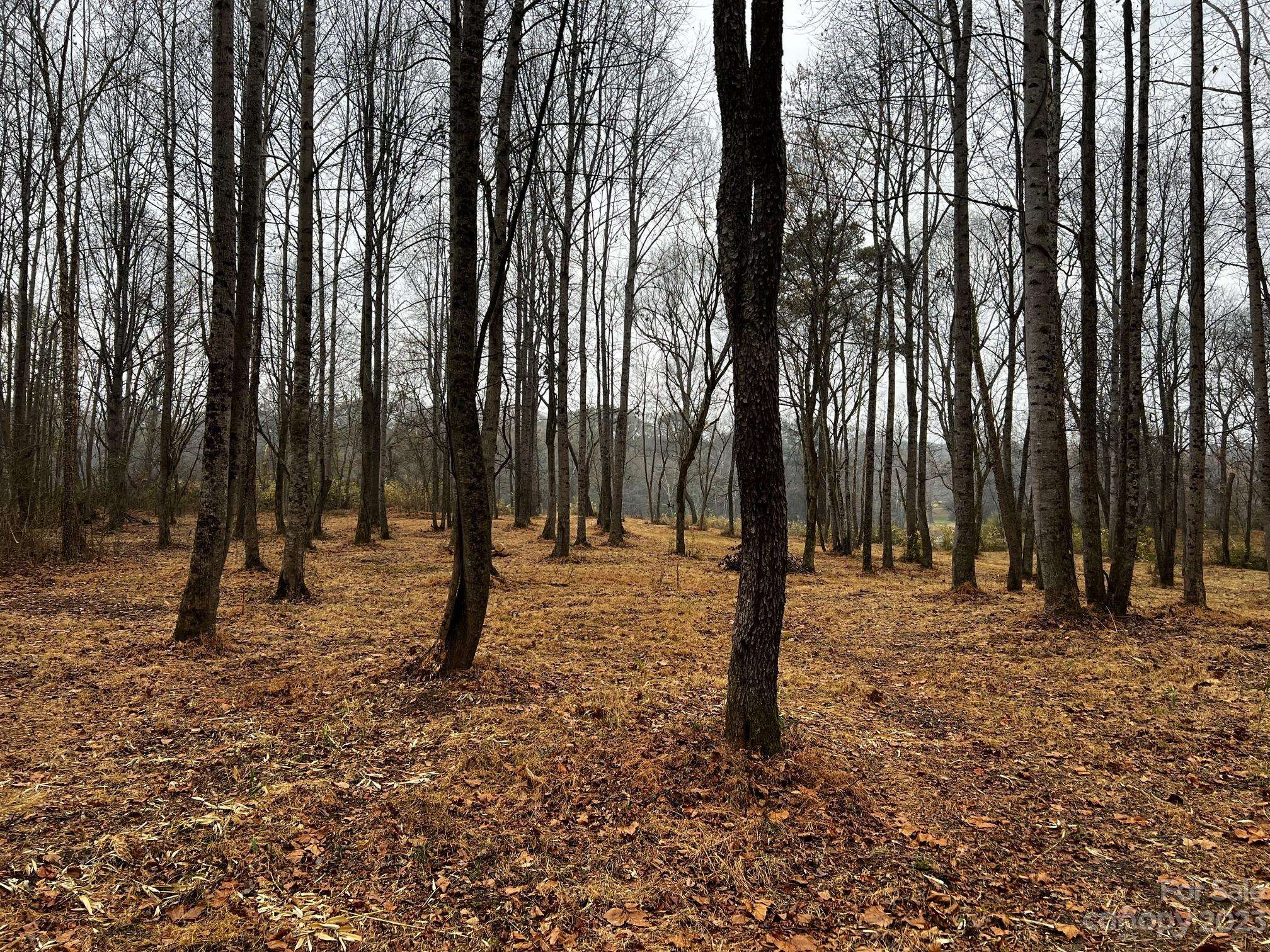 Lot 150 Lookout Dam RD, Statesville, NC 28625