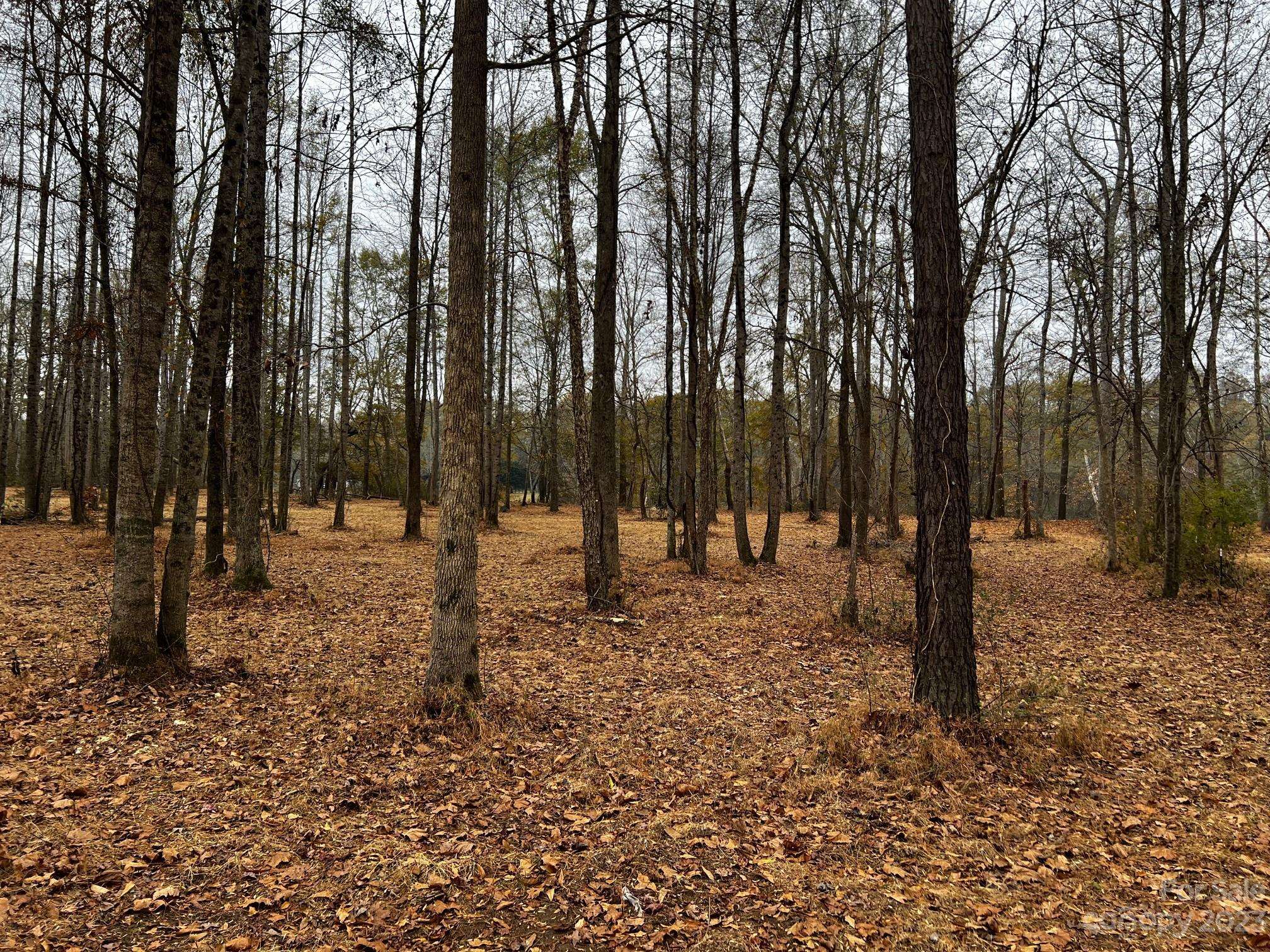 Lot 154 Lookout Dam RD, Statesville, NC 28625