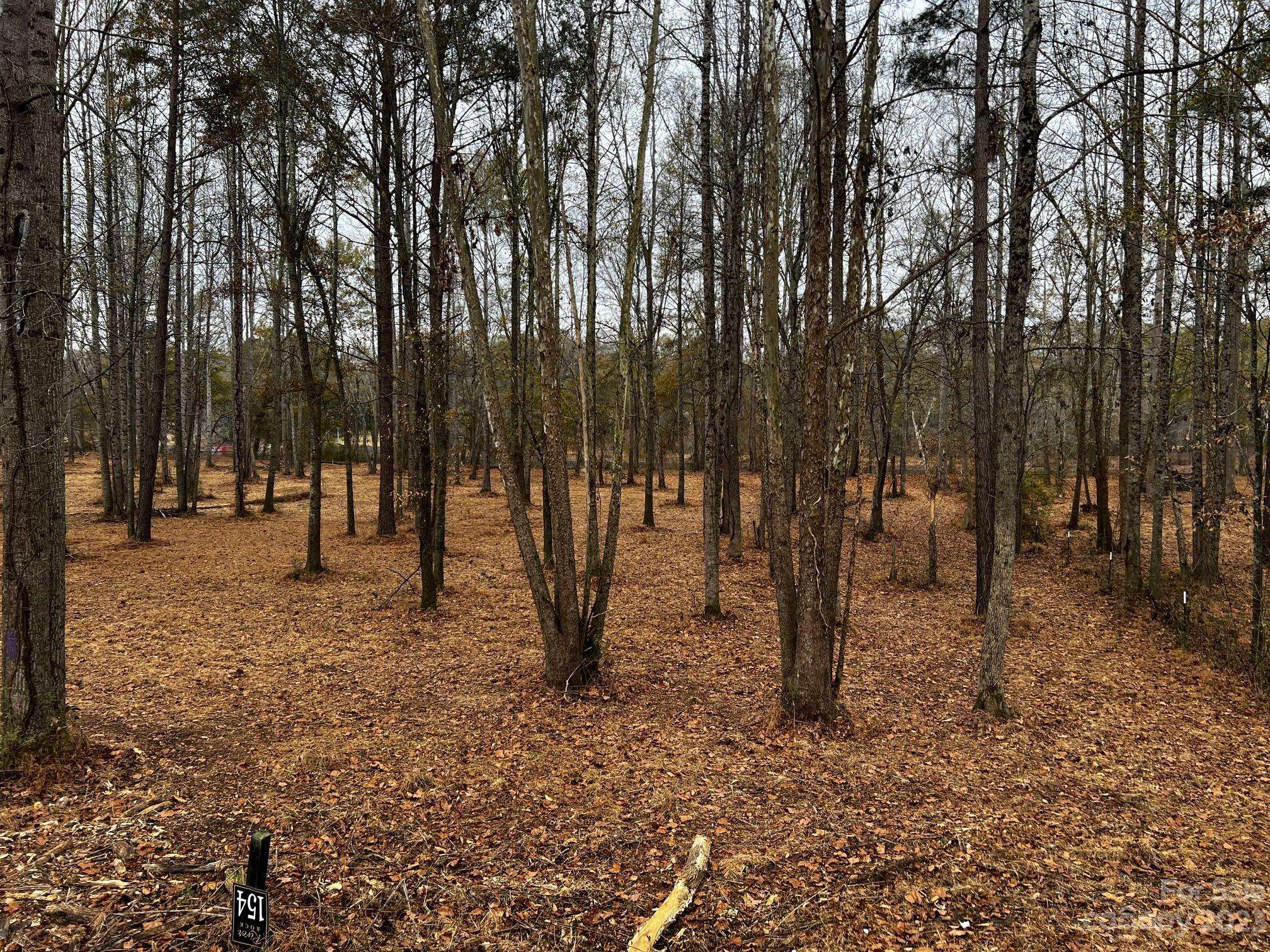 Lot 154 Lookout Dam RD, Statesville, NC 28625
