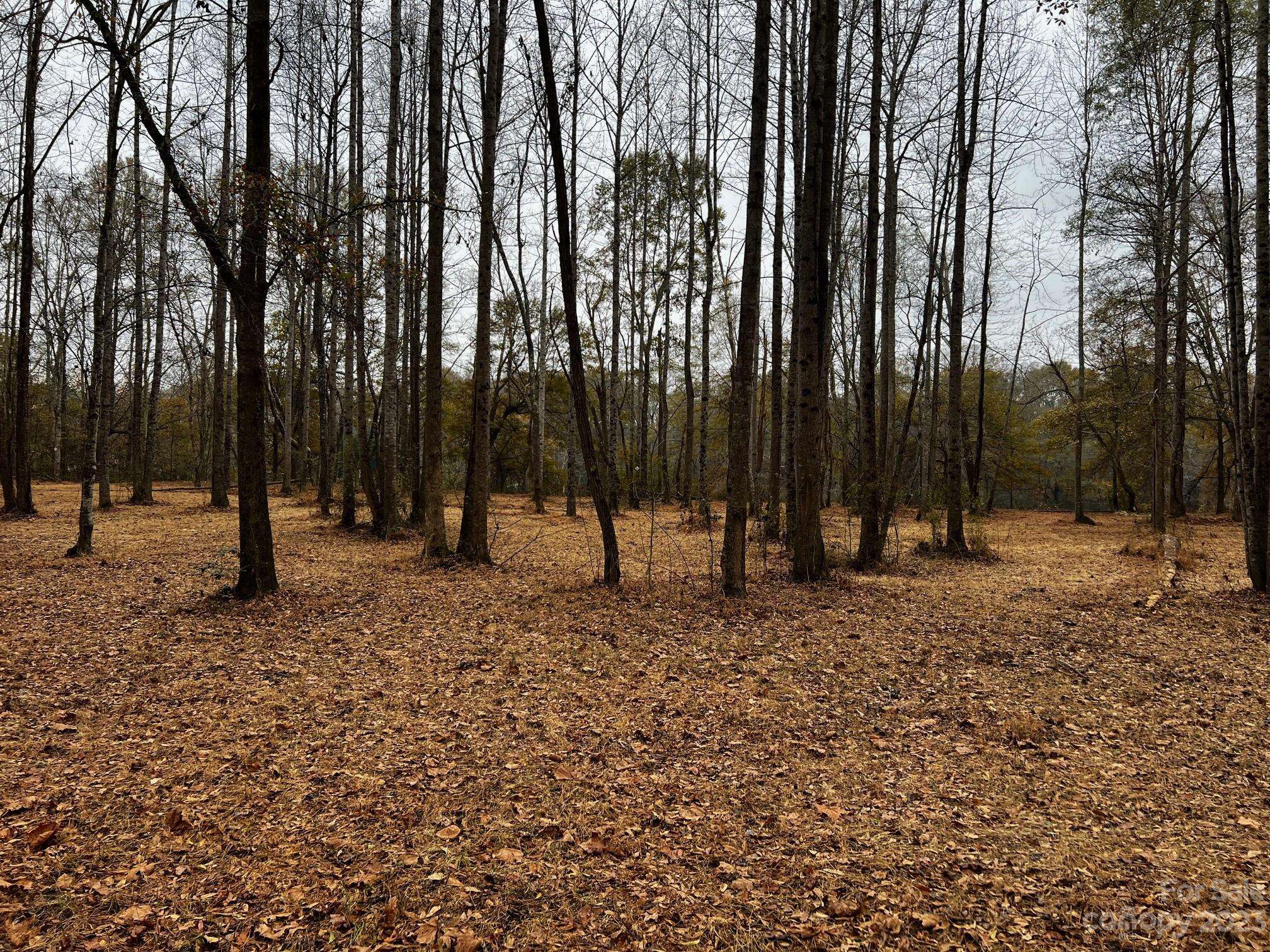 Lot 155 Lookout Dam RD, Statesville, NC 28625