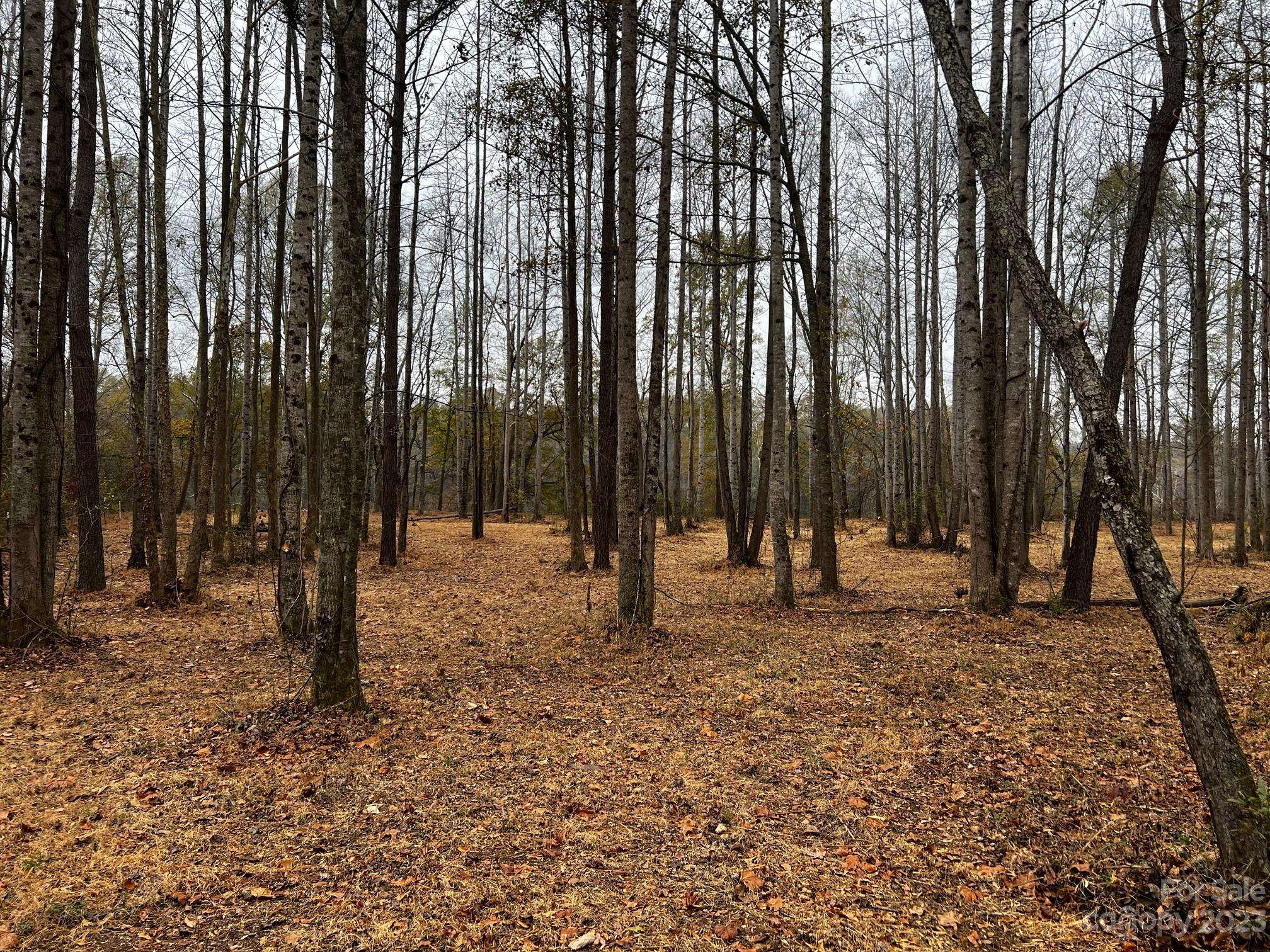 Lot 156 Lookout Dam RD, Statesville, NC 28625