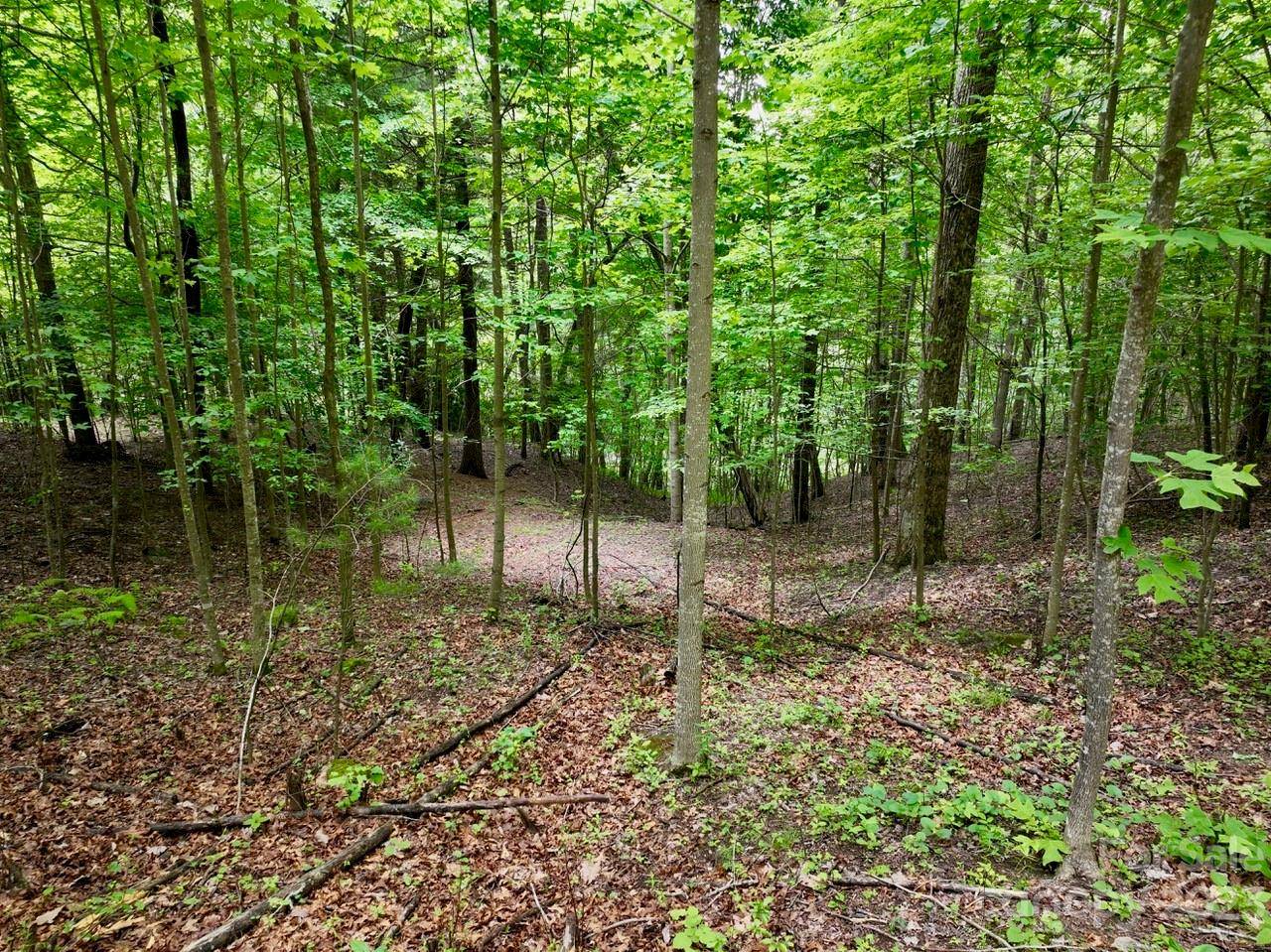 150 Thistlewynd TRL, Laurel Park, NC 28739