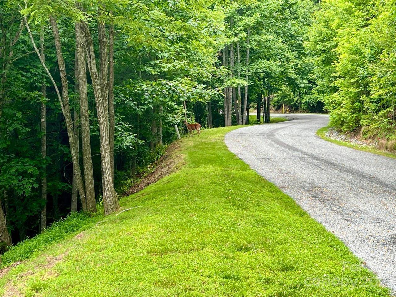 150 Thistlewynd TRL, Laurel Park, NC 28739