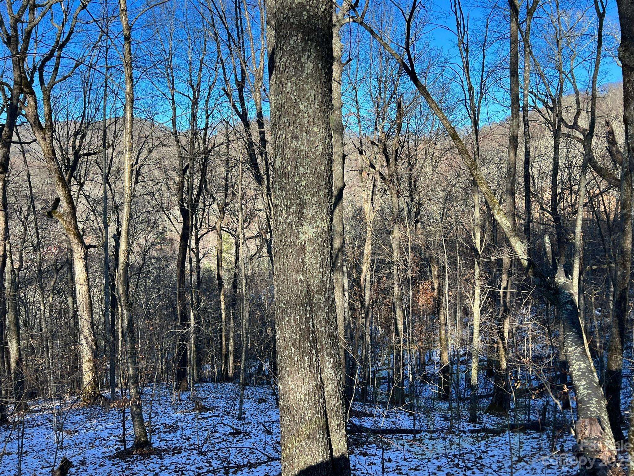 000 El Miner DR #551, Mars Hill, NC 28754