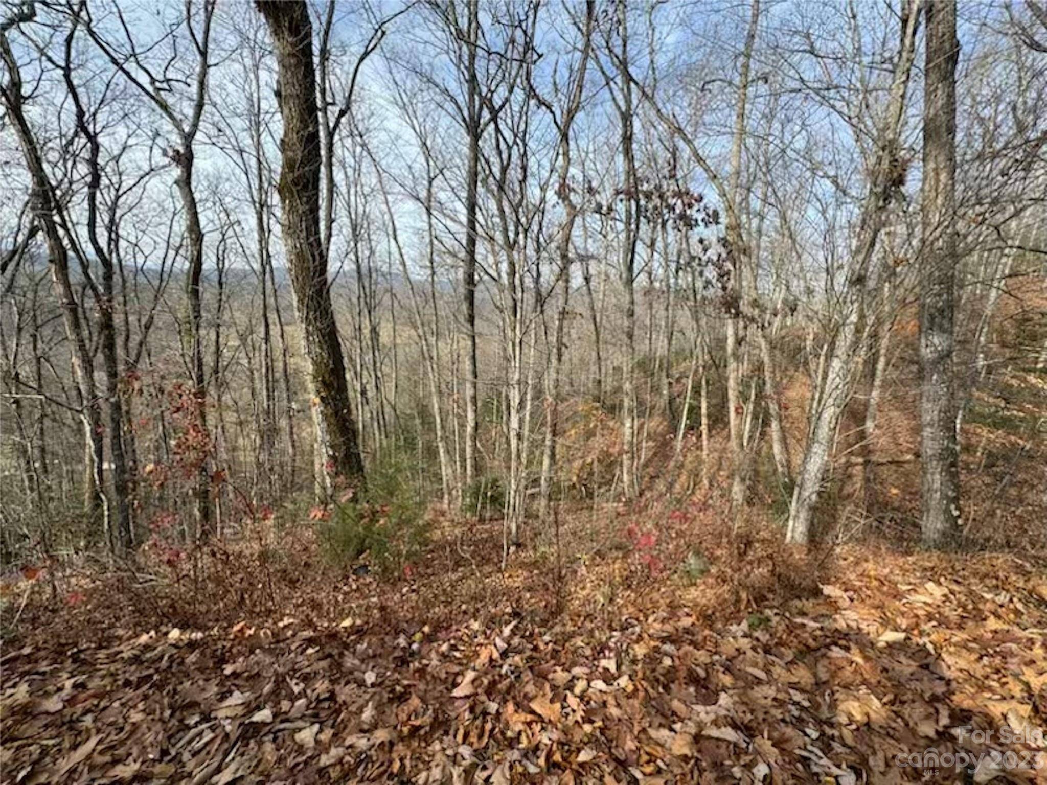 Lot 17 Franklin Farm RD, Franklin, NC 28734