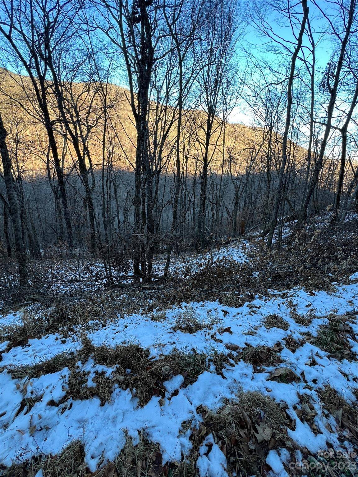 000 Puncheon LN #170, Mars Hill, NC 28754