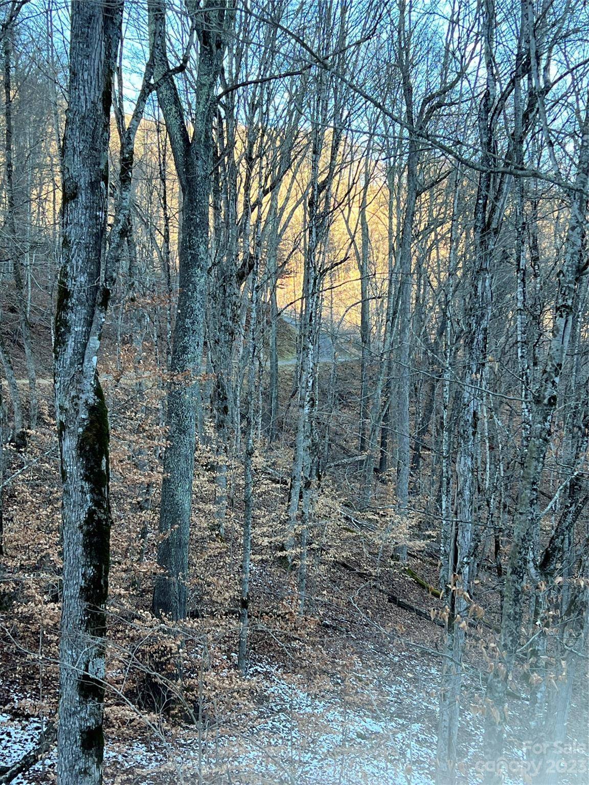000 Bee Tree LN #69, Mars Hill, NC 28754