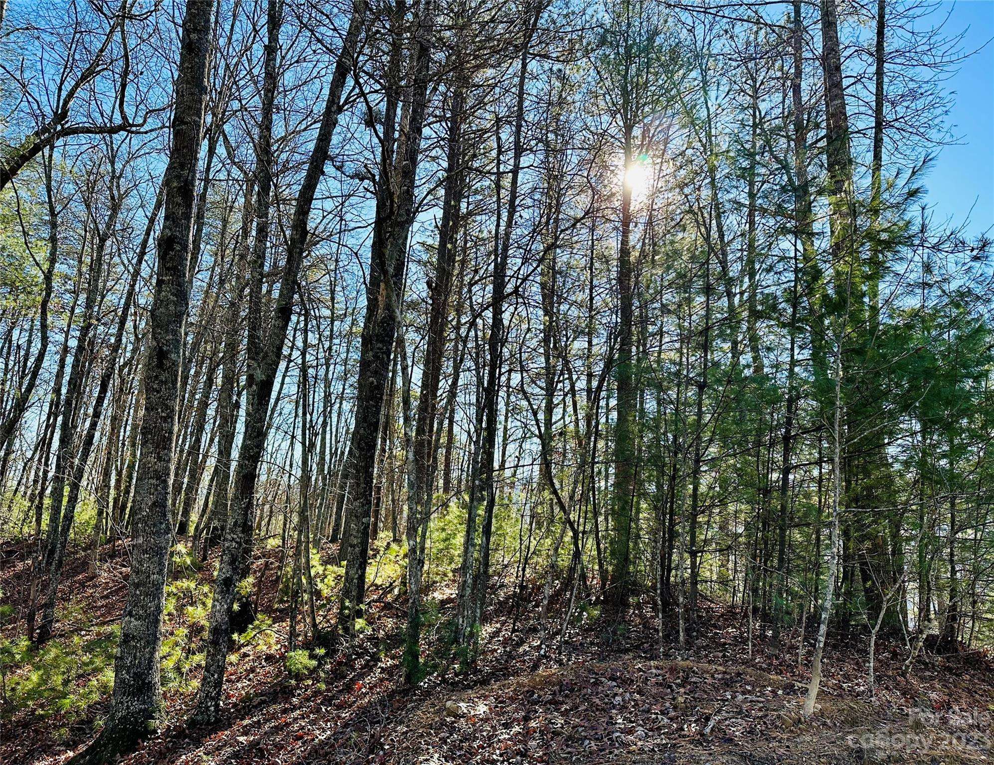 71 Turkey Trot TRL #16, Marshall, NC 28753