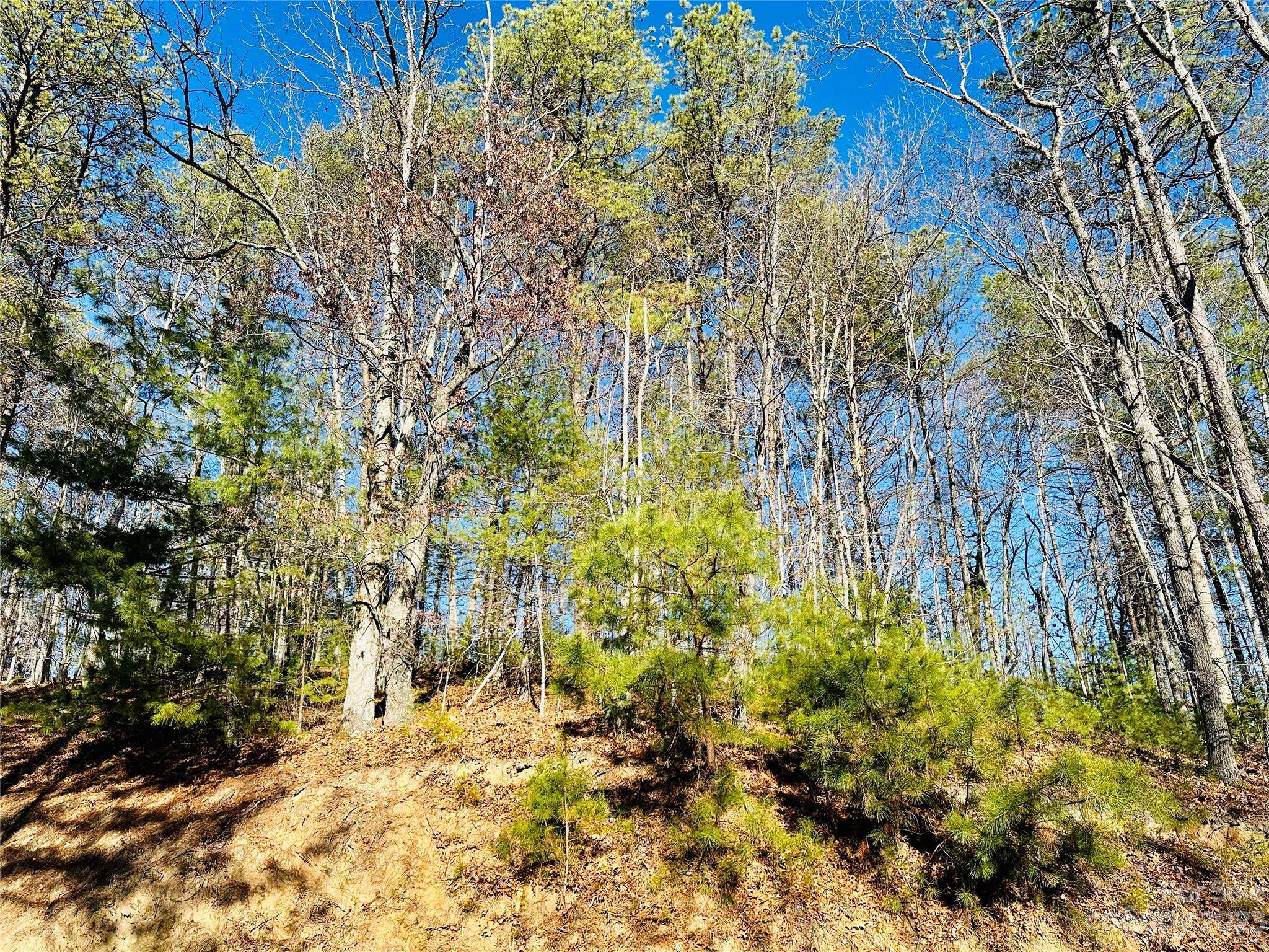 71 Turkey Trot TRL #16, Marshall, NC 28753