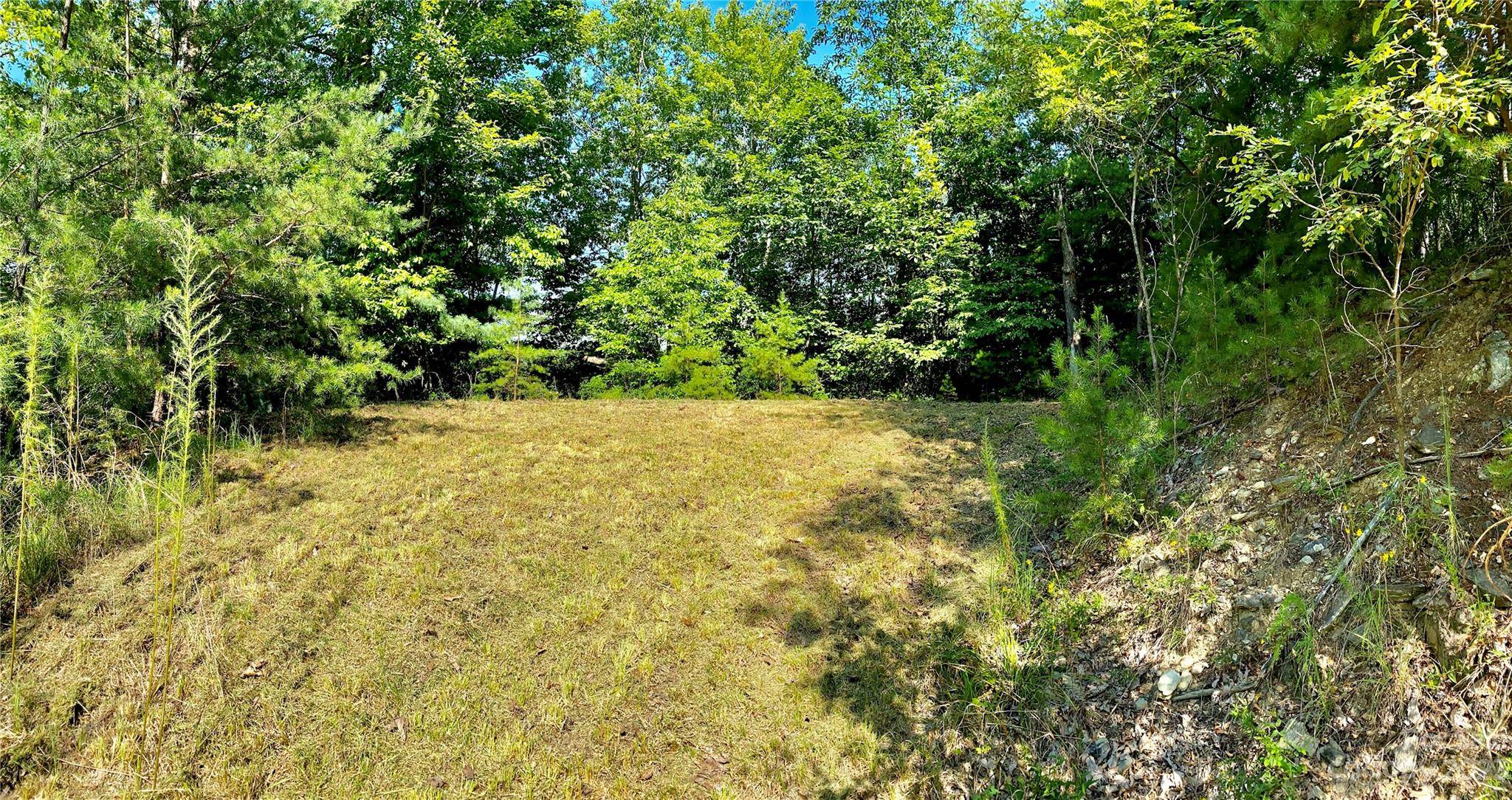 Lot 1 Pinnacle DR, Boomer, NC 28665