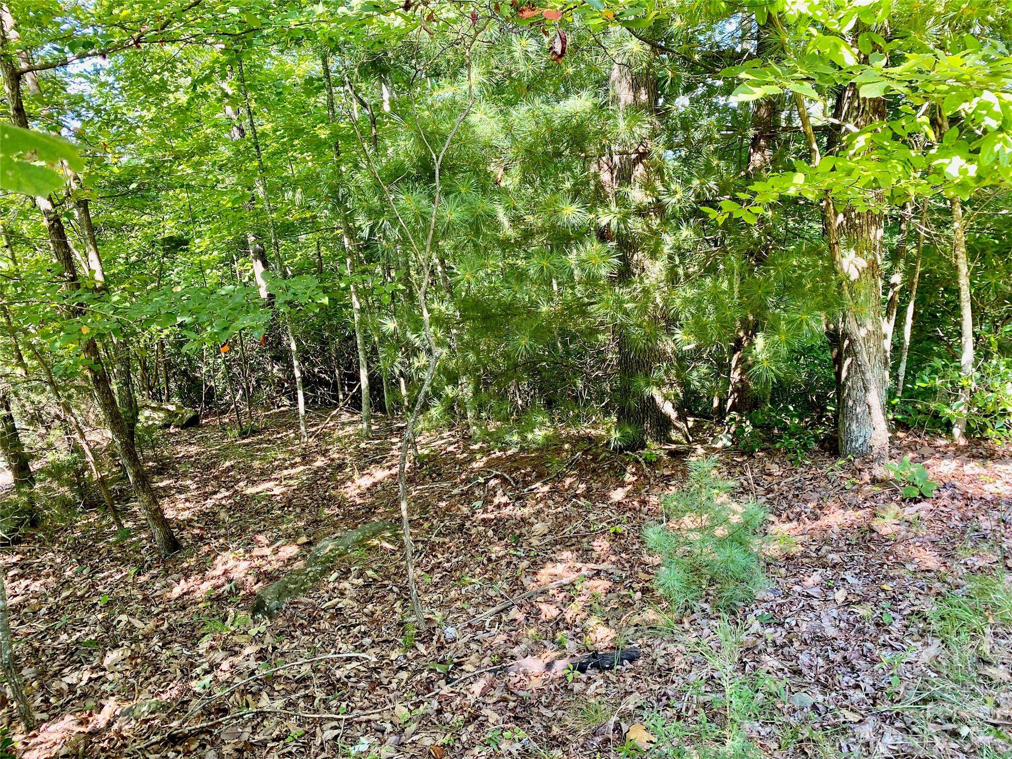 Lot 1 Pinnacle DR, Boomer, NC 28665