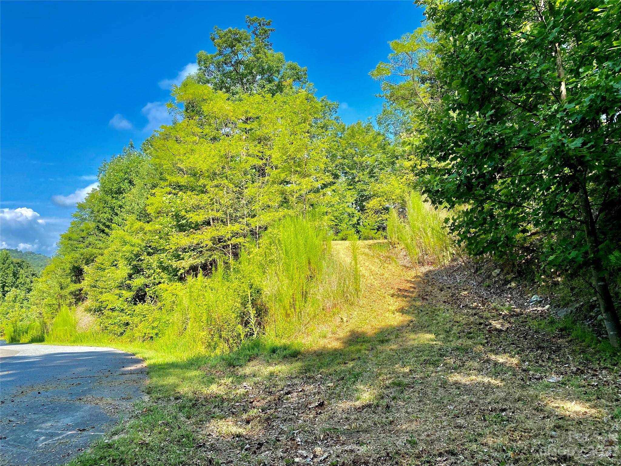 Lot 1 Pinnacle DR, Boomer, NC 28665