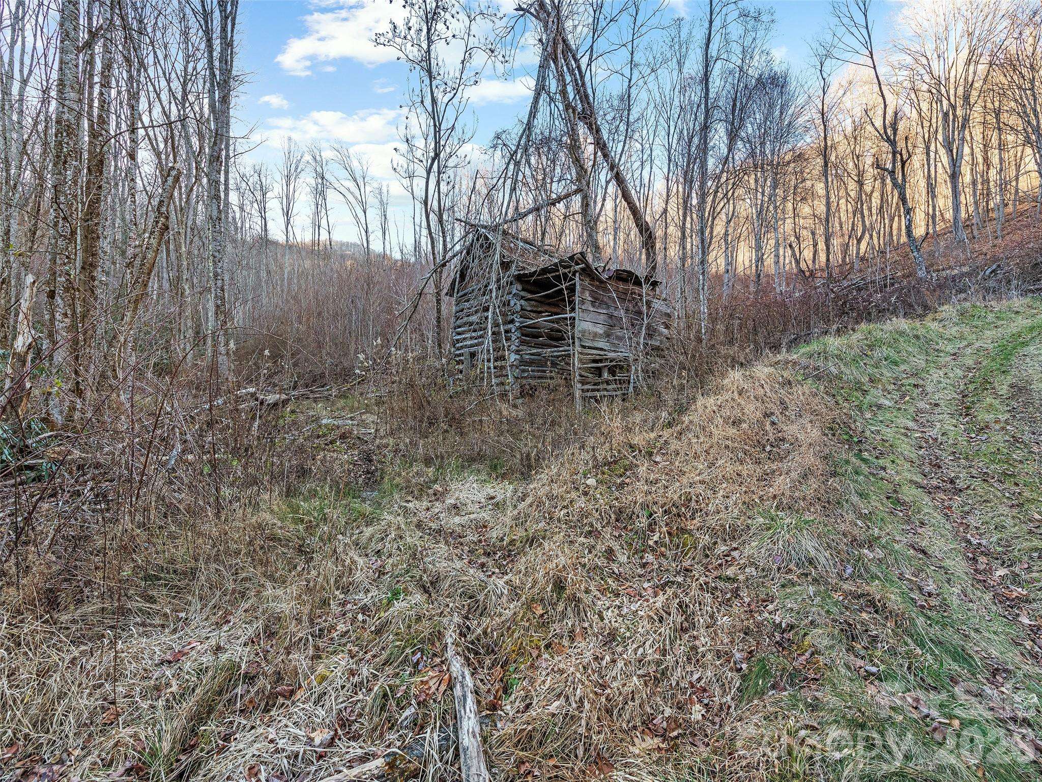 00 NC 209 HWY, Spring Creek, NC 28743