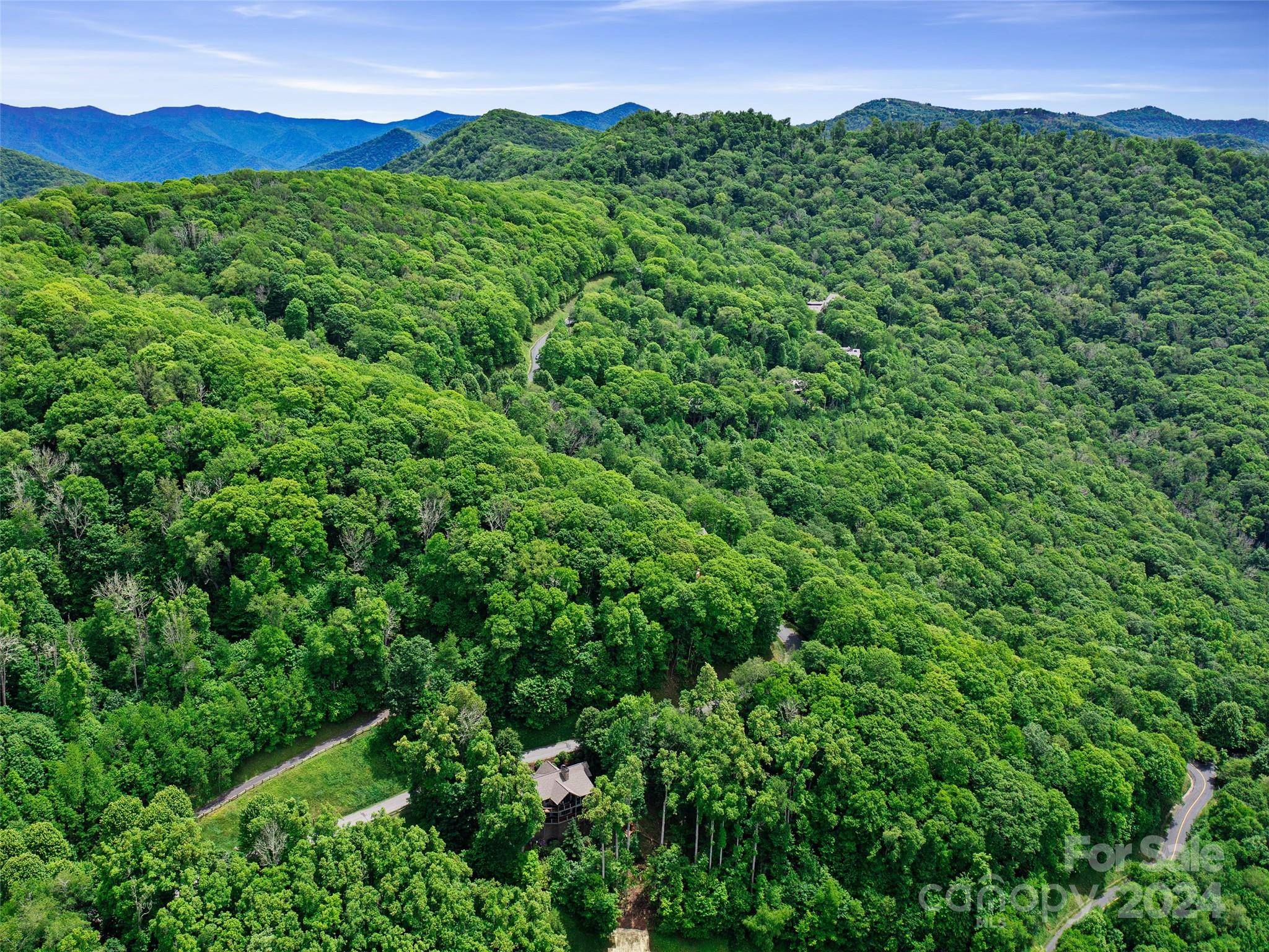 Lot 17 Old Growth Forest RD, Burnsville, NC 28714