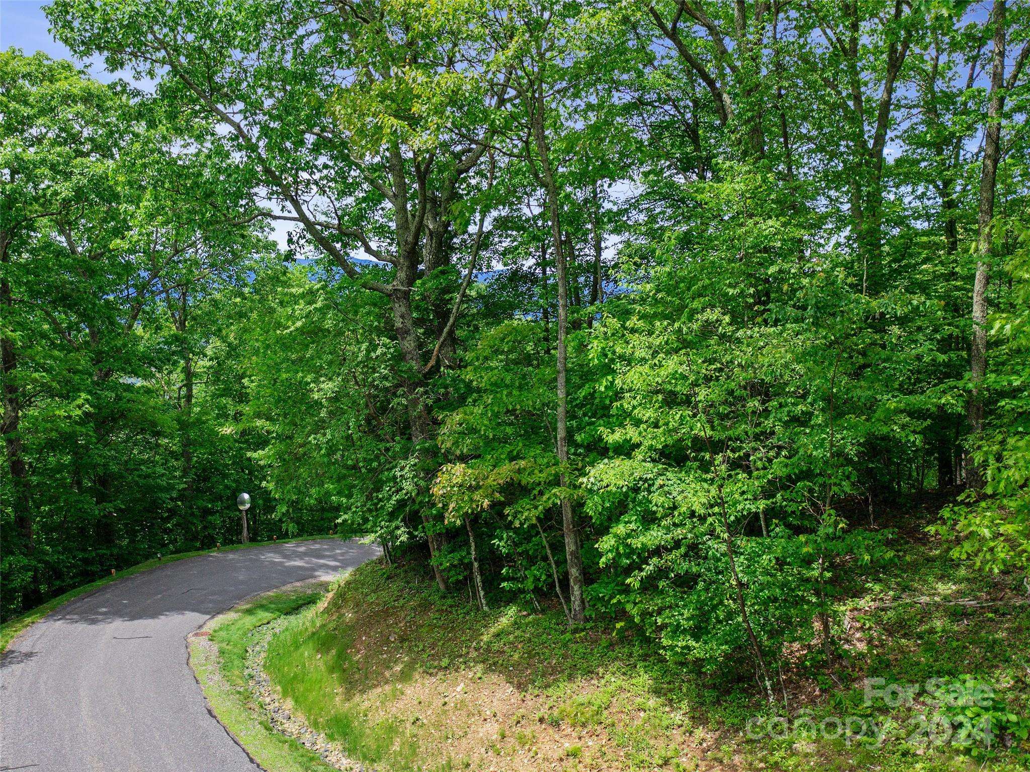 Lot 17 Old Growth Forest RD, Burnsville, NC 28714