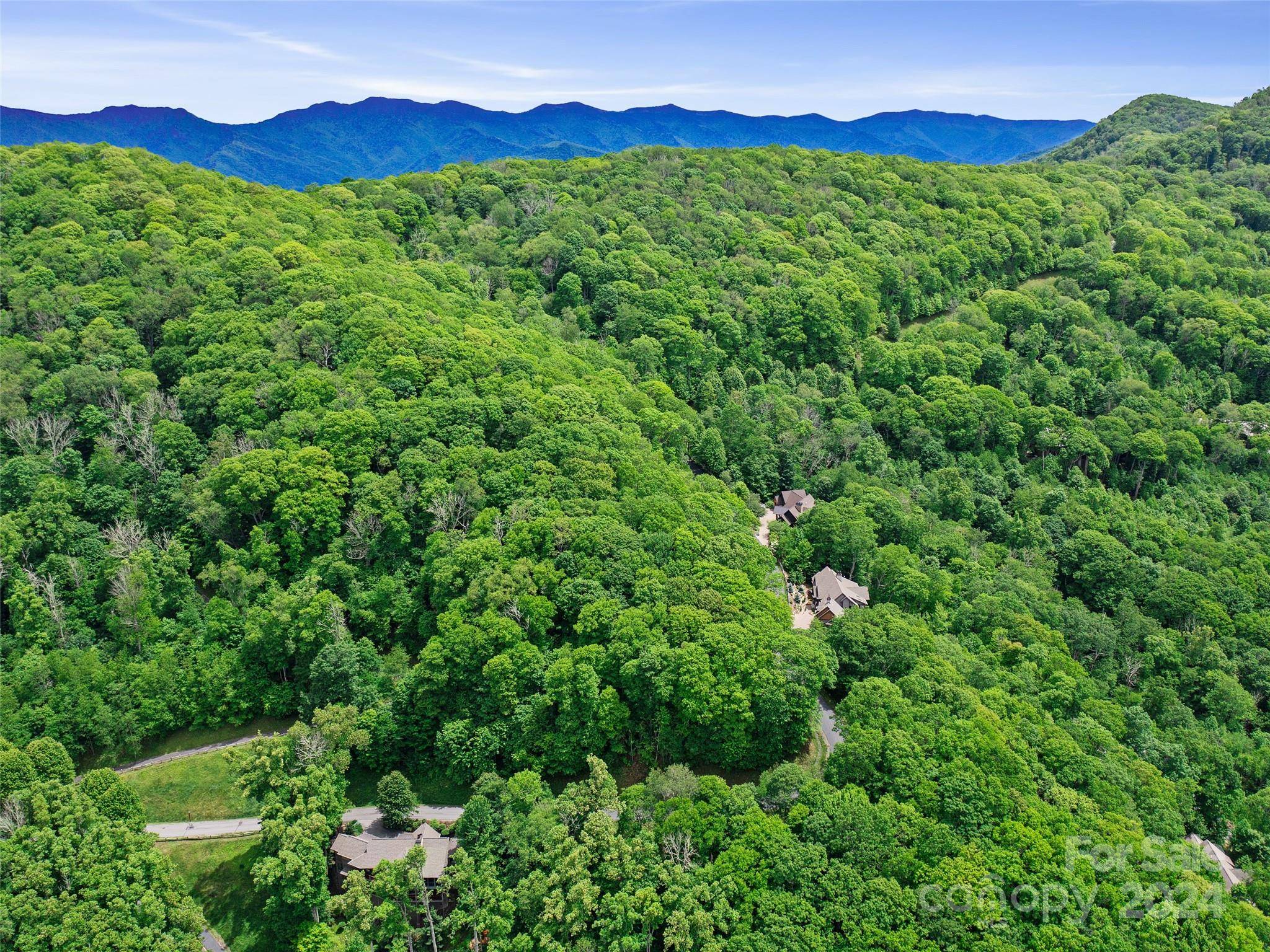 Lot 17 Old Growth Forest RD, Burnsville, NC 28714