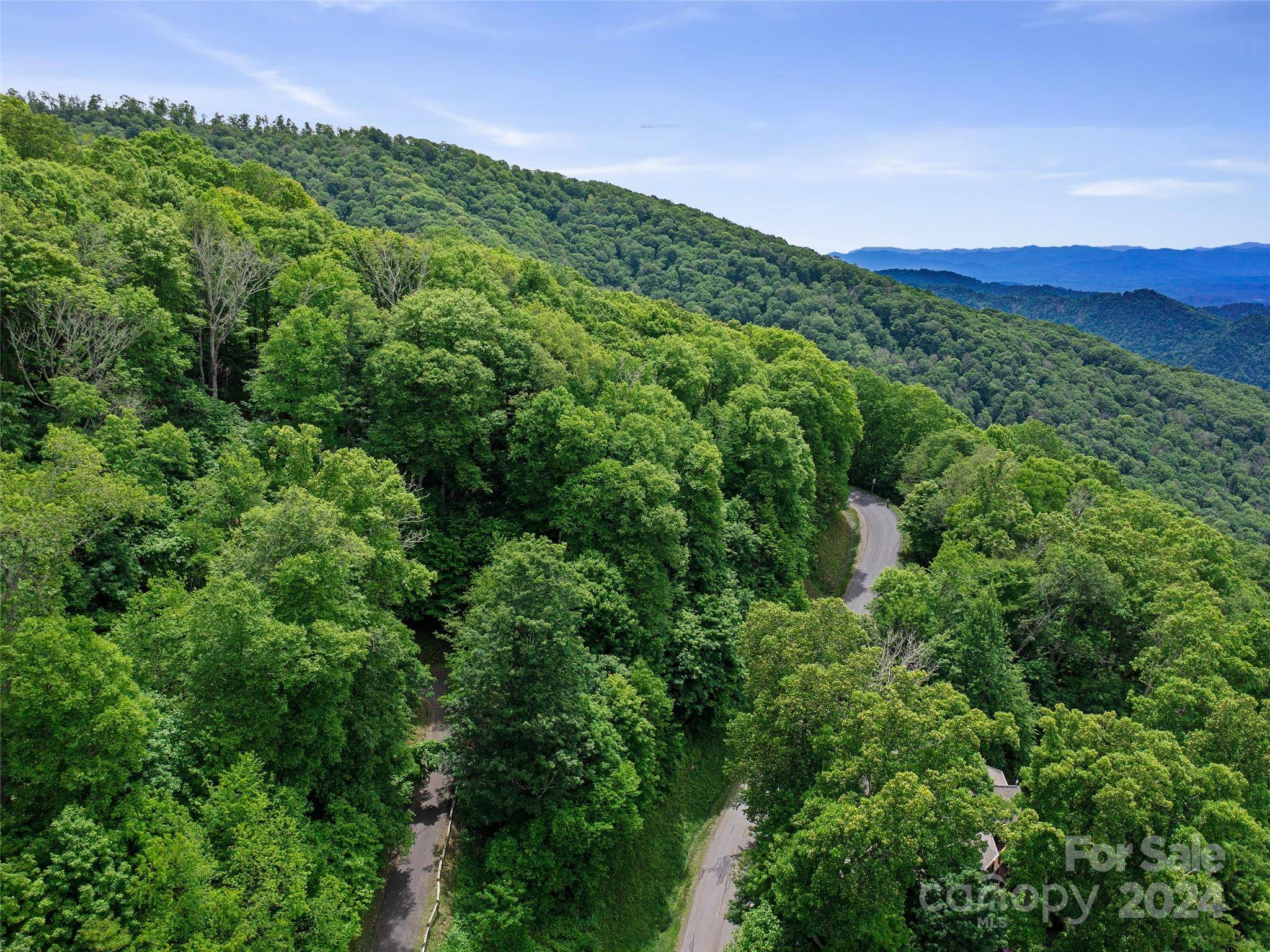 Lot 17 Old Growth Forest RD, Burnsville, NC 28714