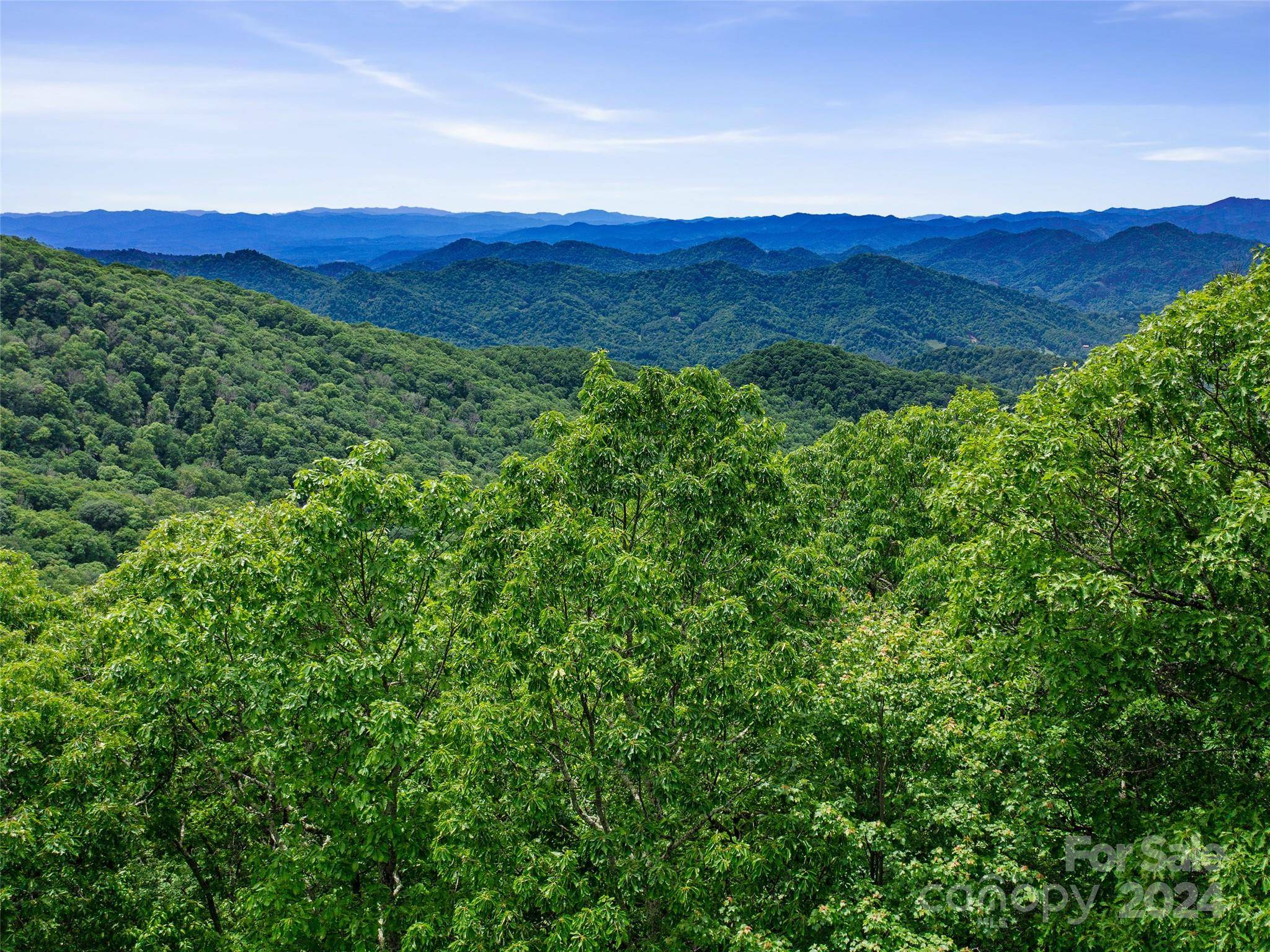 Lot 17 Old Growth Forest RD, Burnsville, NC 28714