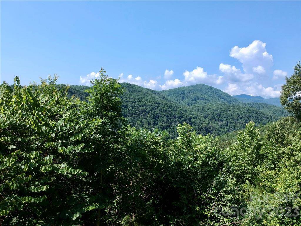 677 White Water WAY #30, Marshall, NC 28753