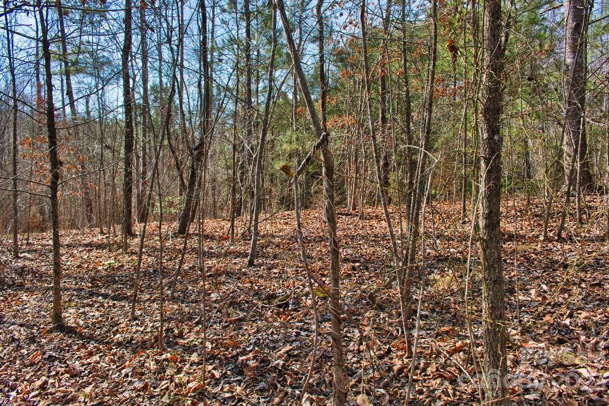 0 Woodstock LN #170, Rutherfordton, NC 28139