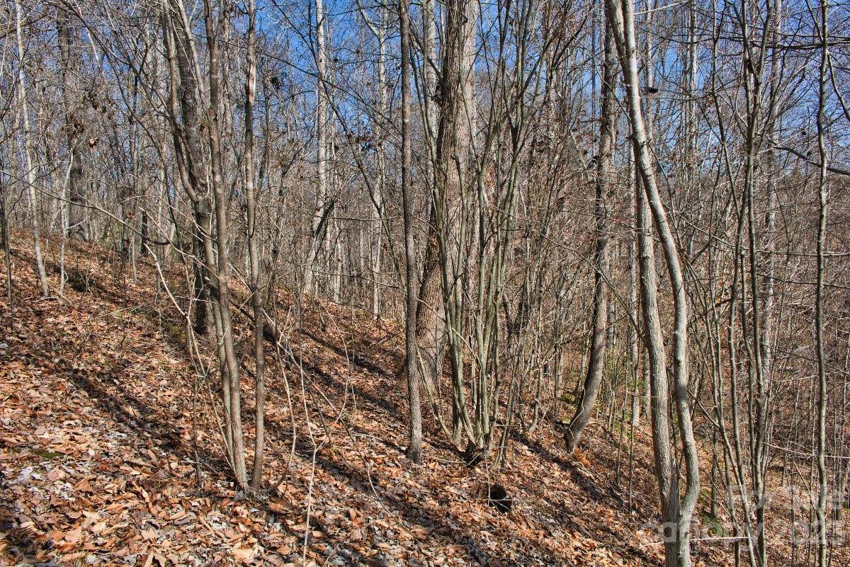 0 Woodstock LN #170, Rutherfordton, NC 28139