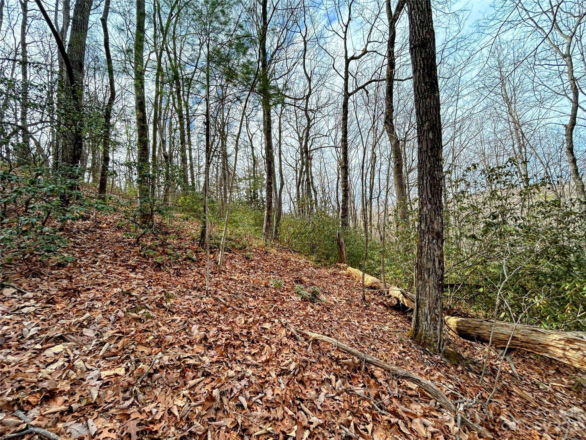 Lot 7 Azalea WAY, Saluda, NC 28773
