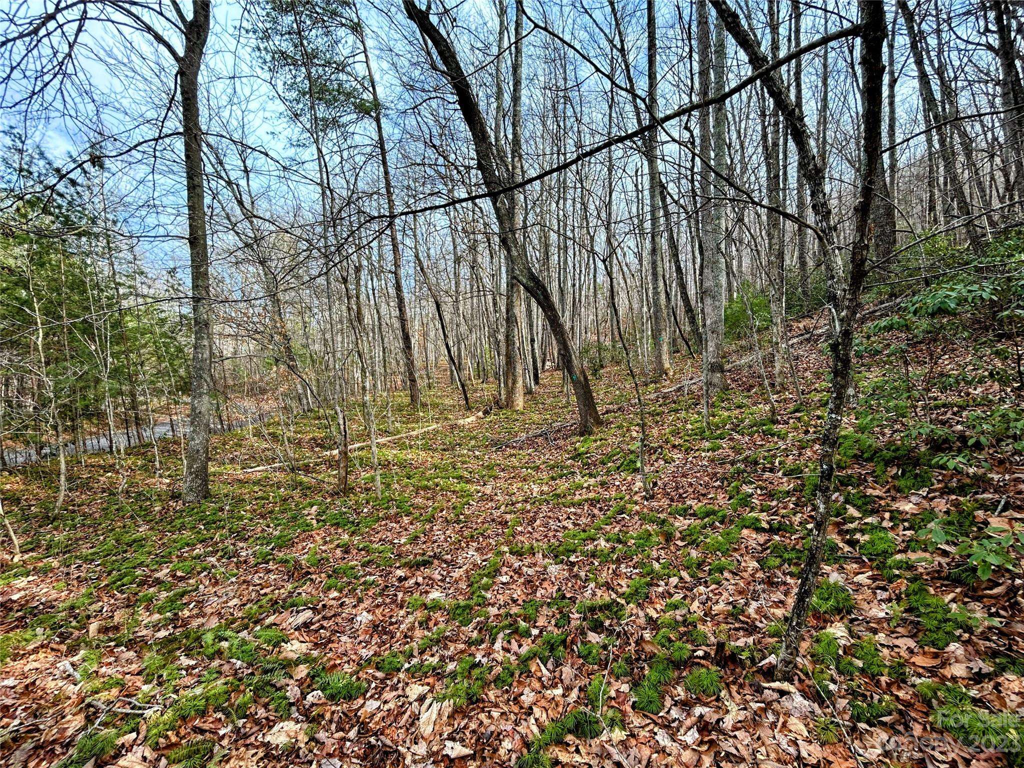 Lot 7 Azalea WAY, Saluda, NC 28773