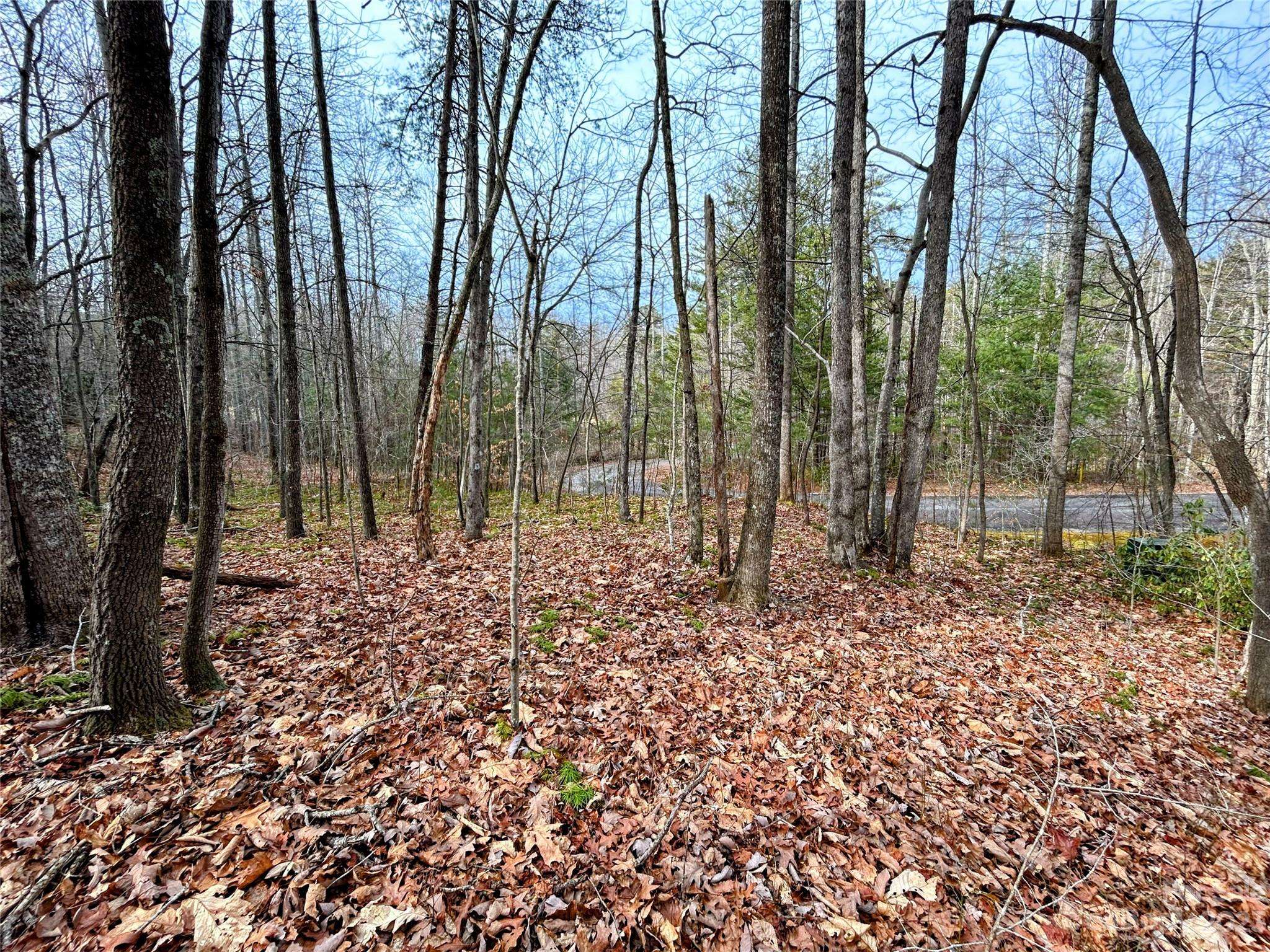 Lot 7 Azalea WAY, Saluda, NC 28773