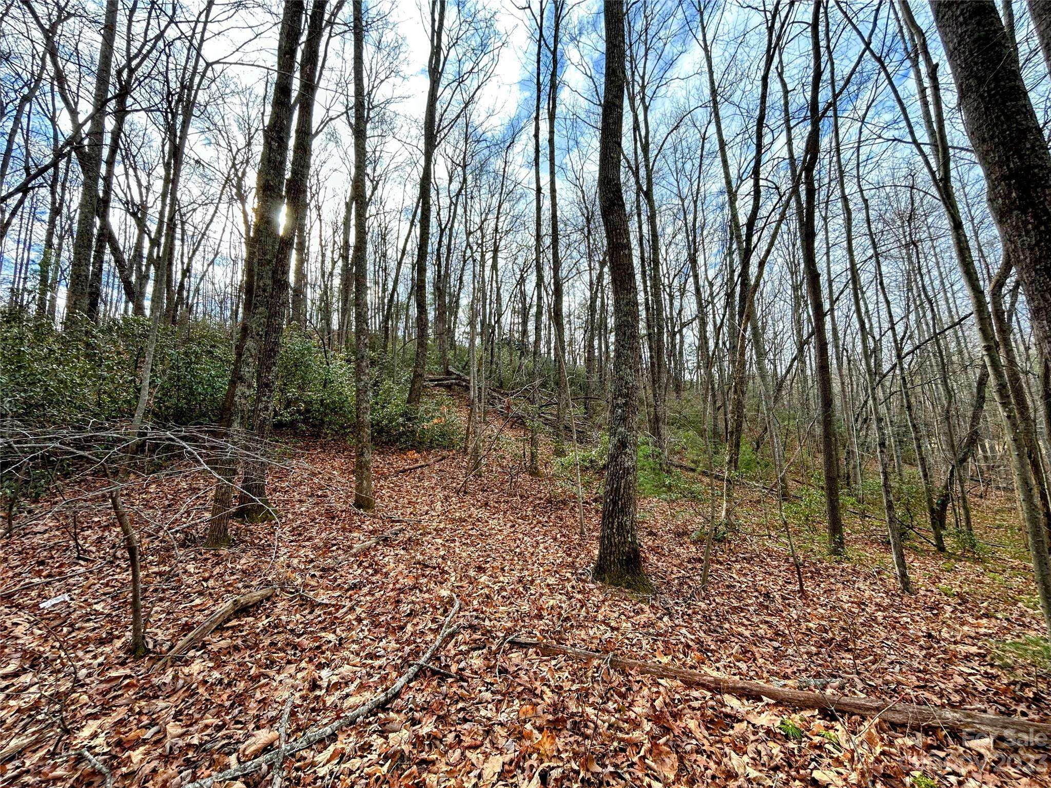Lot 7 Azalea WAY, Saluda, NC 28773