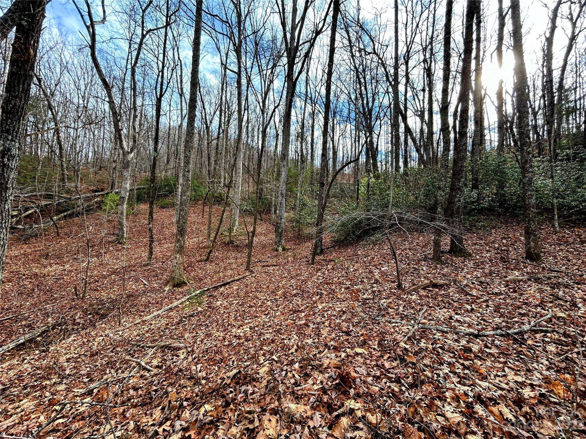 Lot 7 Azalea WAY, Saluda, NC 28773
