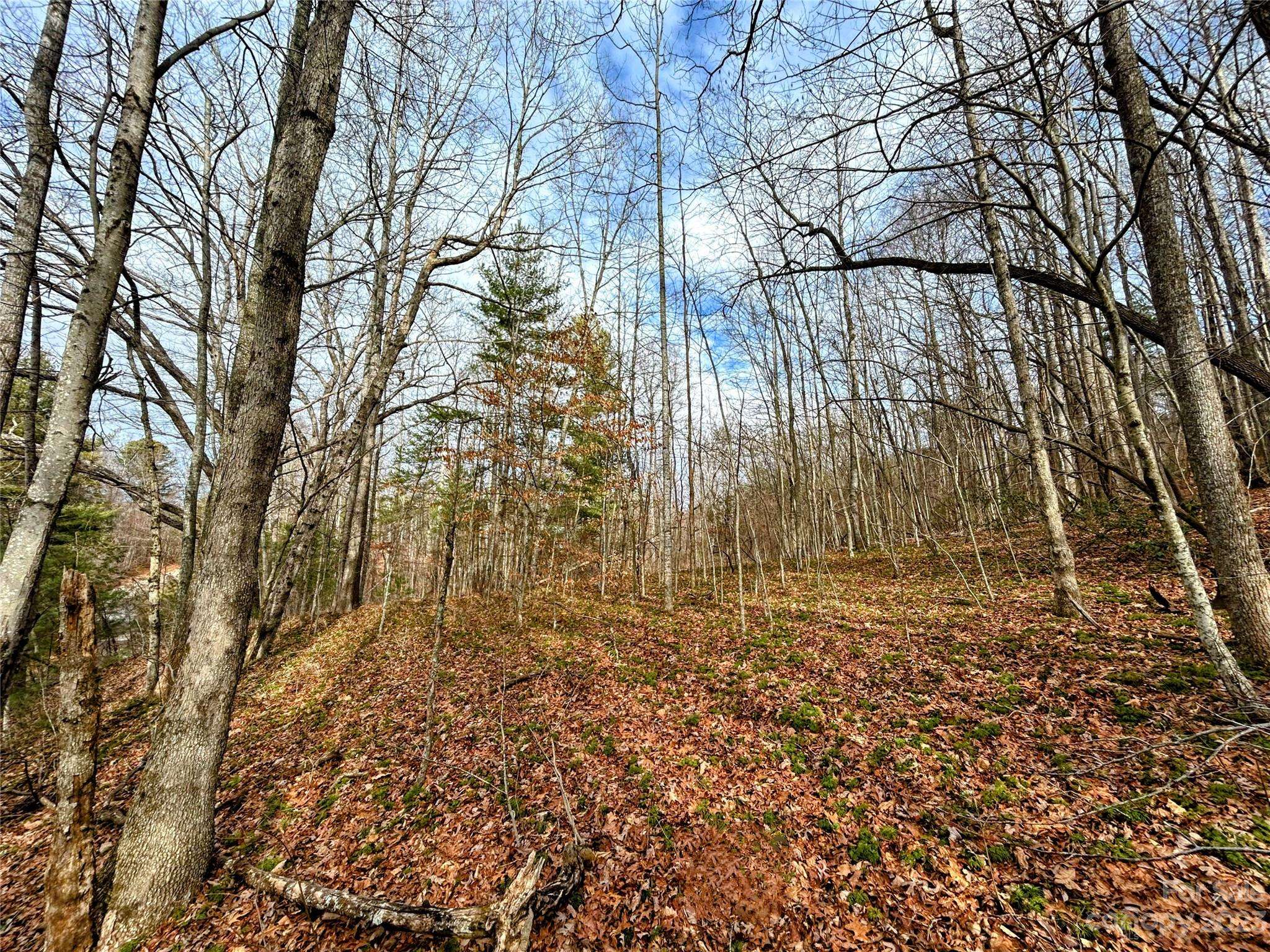 Lot 8 Azalea WAY, Saluda, NC 28773