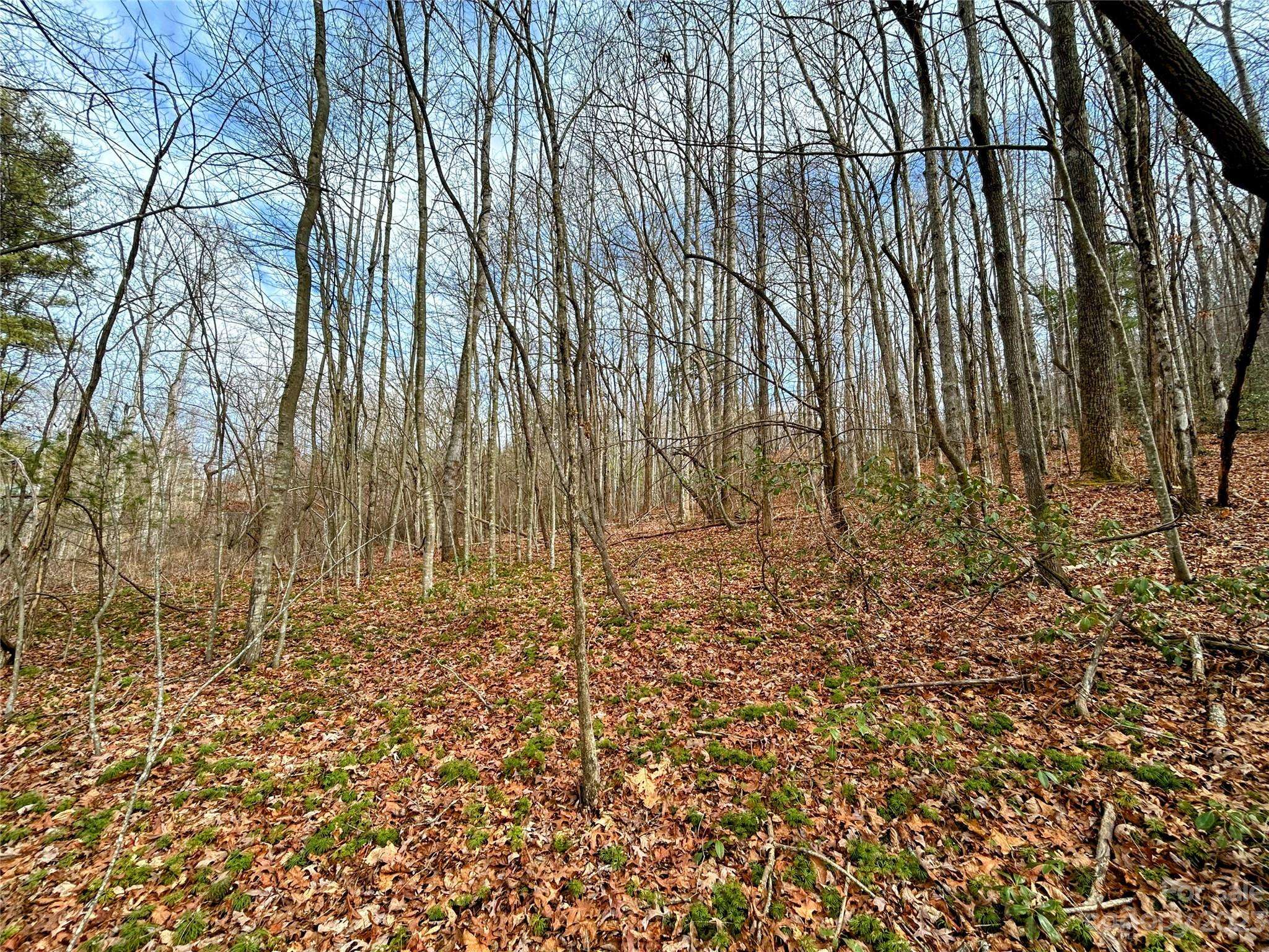 Lot 8 Azalea WAY, Saluda, NC 28773