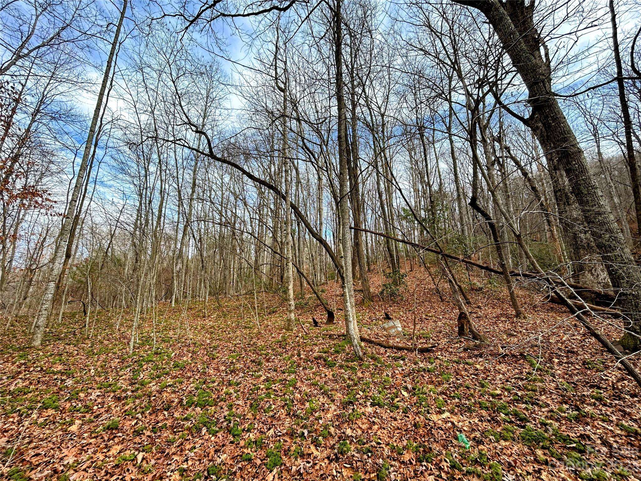Lot 8 Azalea WAY, Saluda, NC 28773