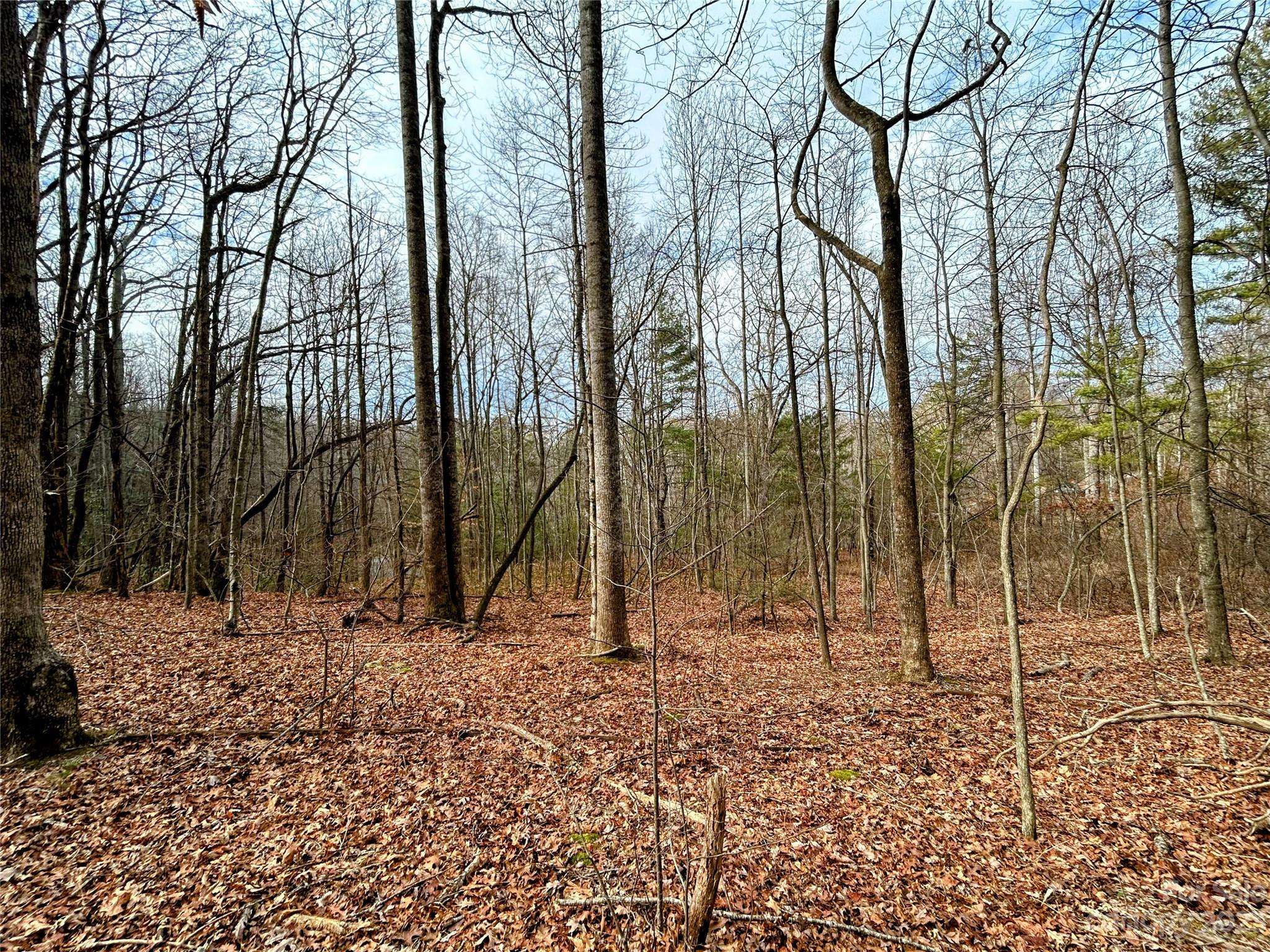 Lot 8 Azalea WAY, Saluda, NC 28773