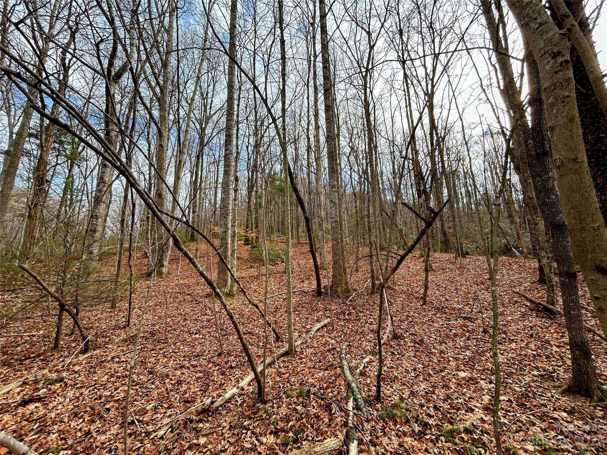 Lot 8 Azalea WAY, Saluda, NC 28773