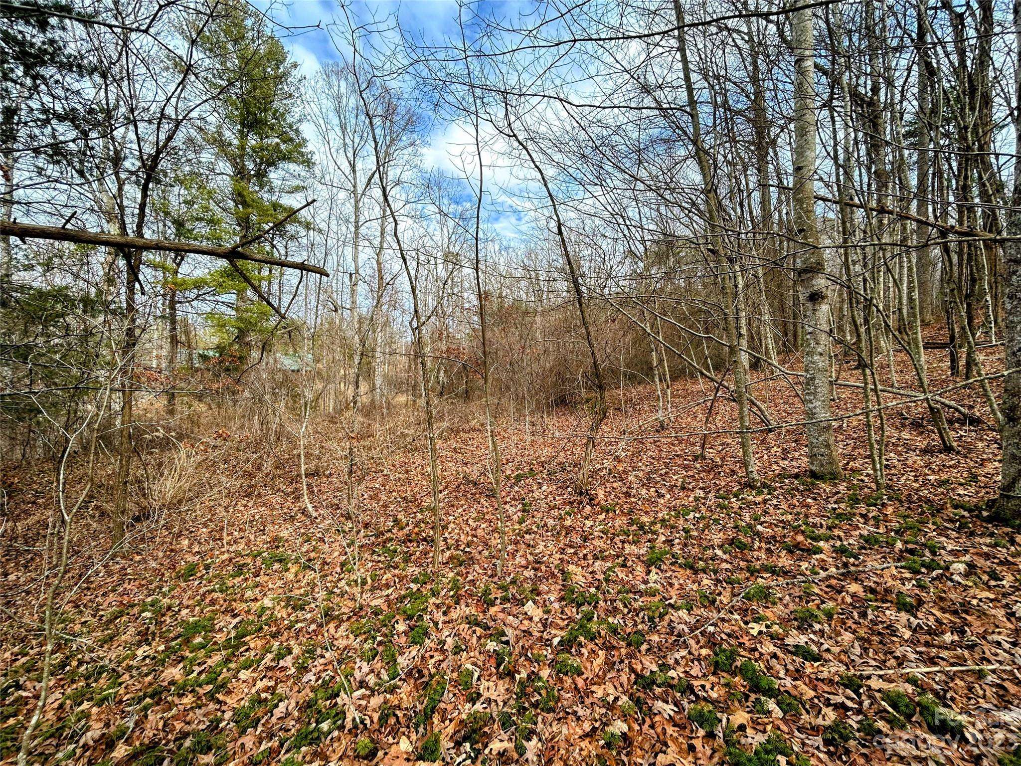 Lot 8 Azalea WAY, Saluda, NC 28773