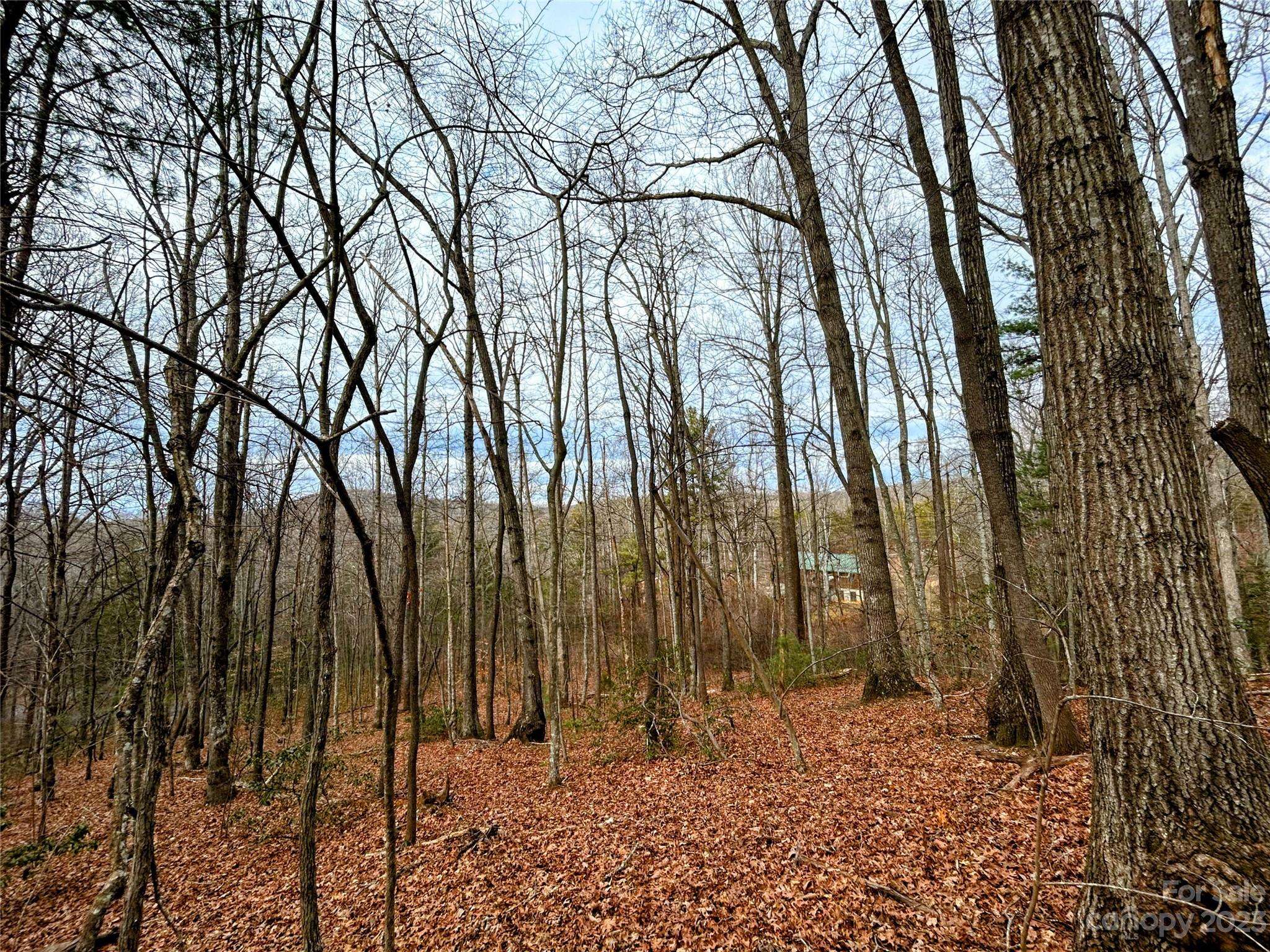 Lot 11 Rhododendron DR, Saluda, NC 28773