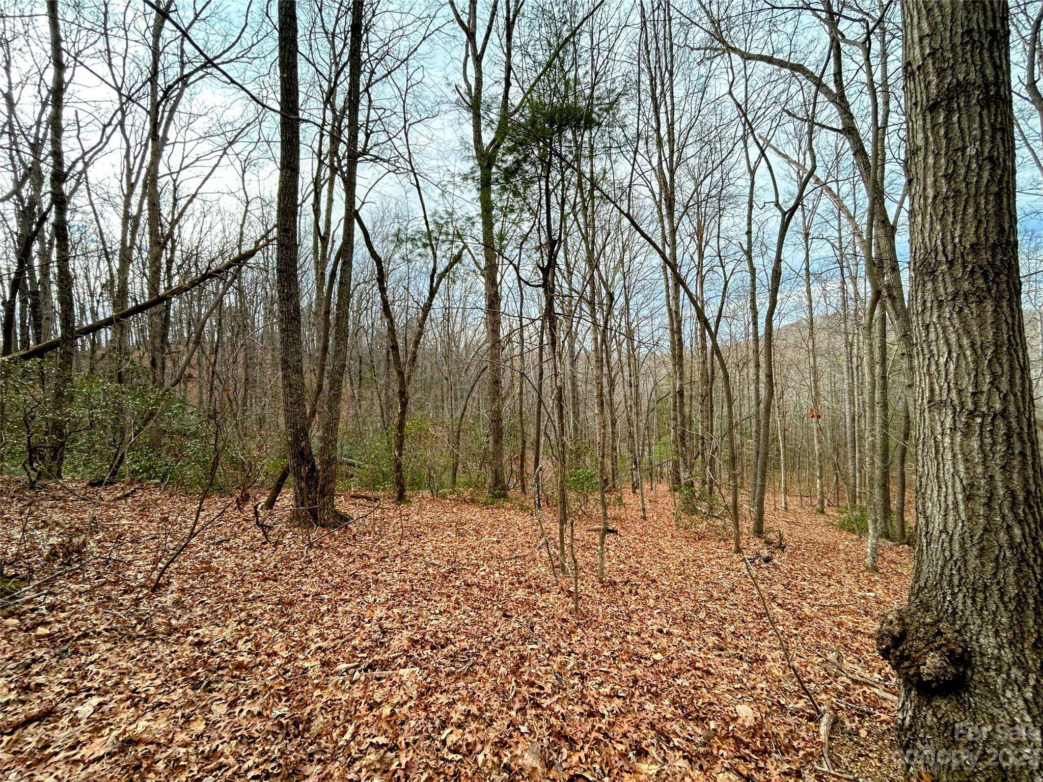 Lot 11 Rhododendron DR, Saluda, NC 28773