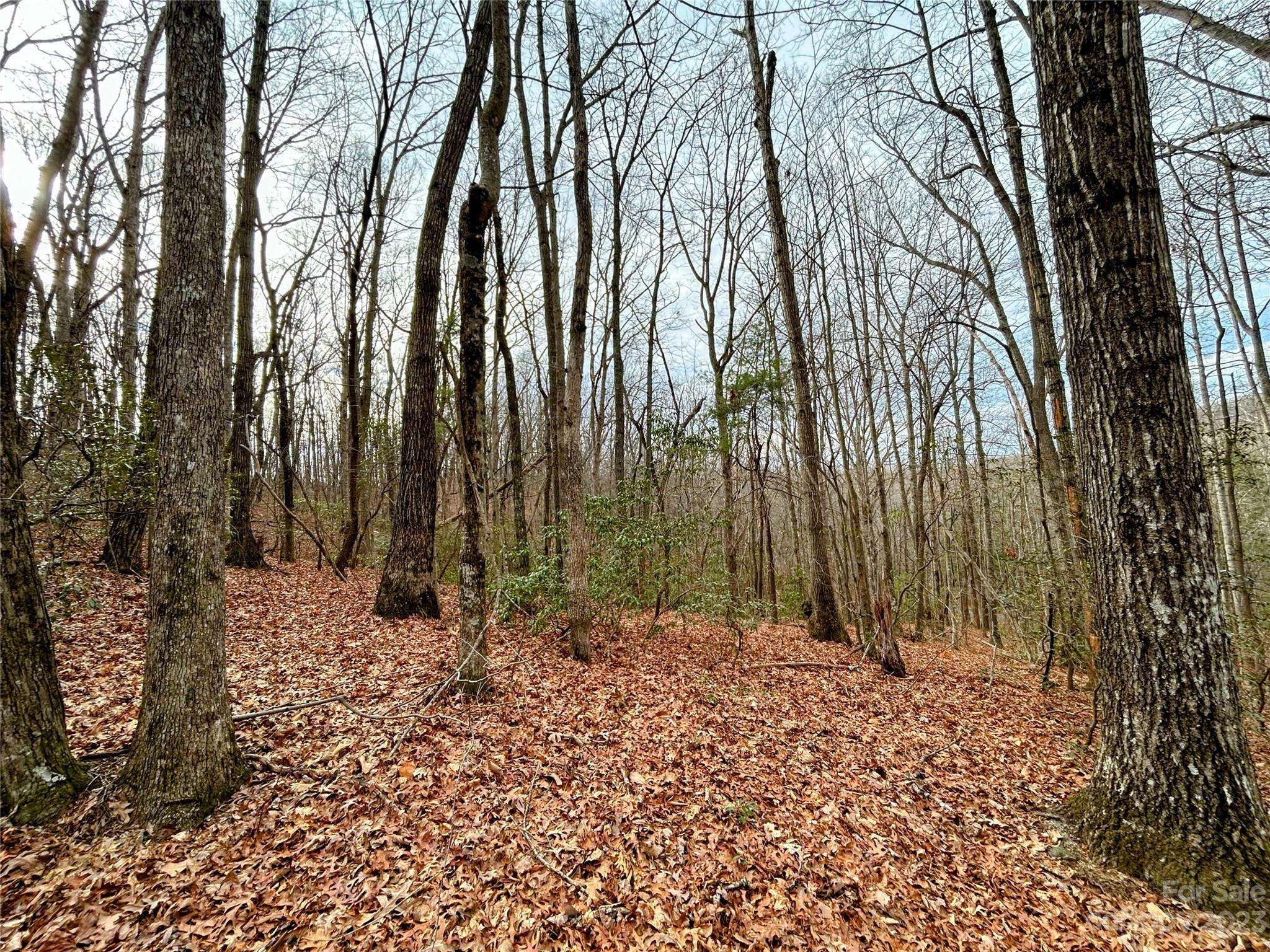 Lot 11 Rhododendron DR, Saluda, NC 28773