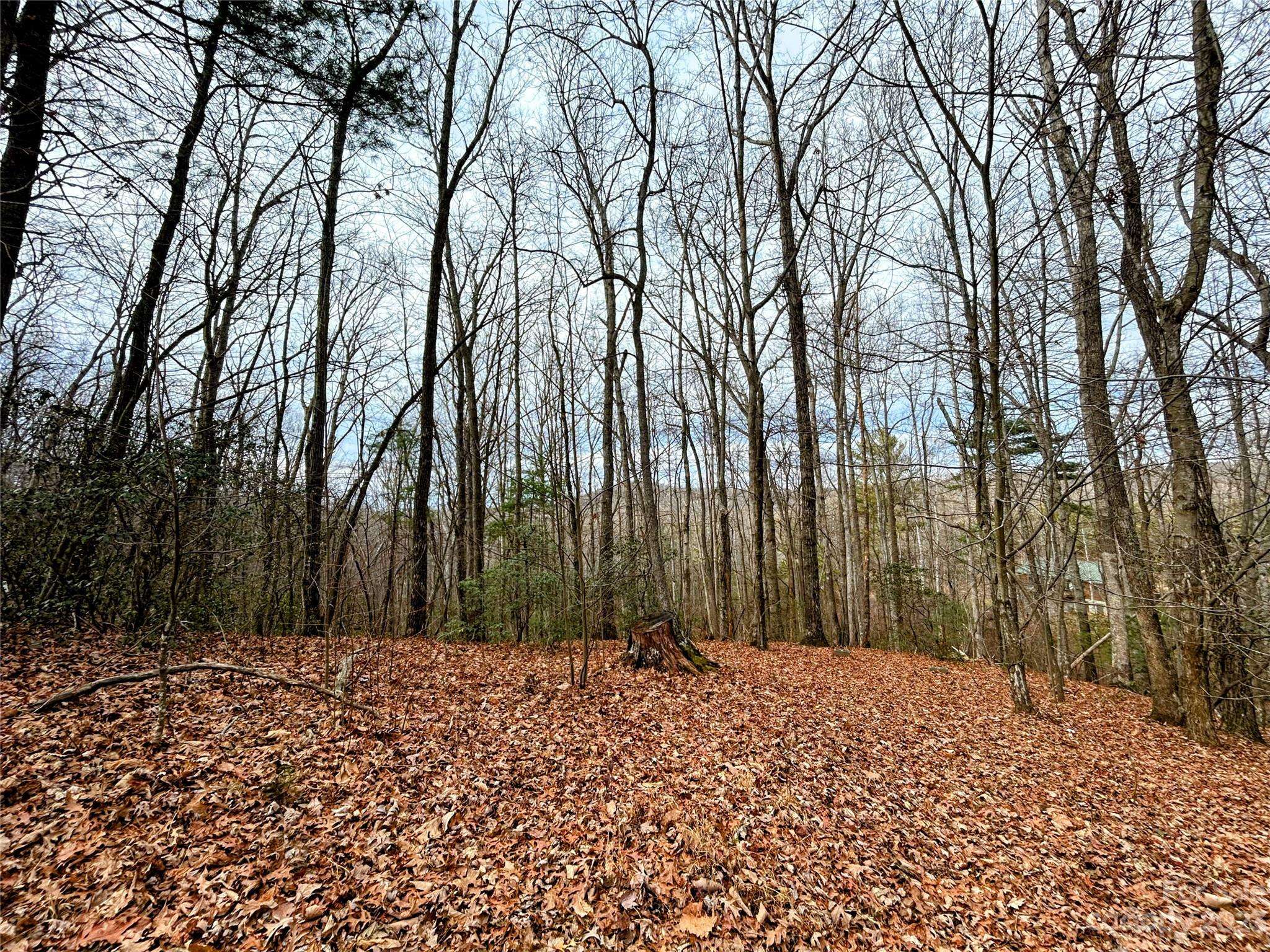 Lot 11 Rhododendron DR, Saluda, NC 28773
