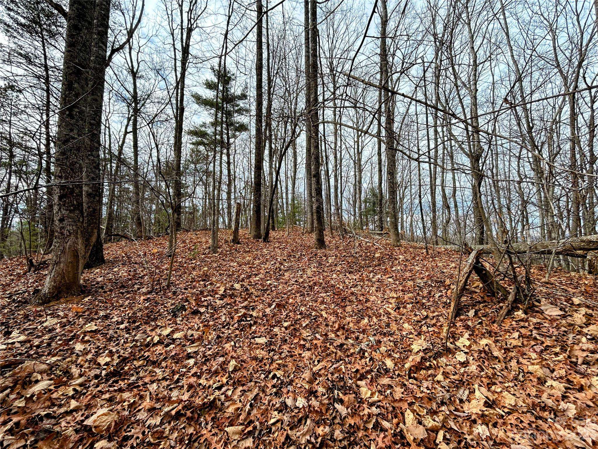 Lot 12 Rhododendron DR, Saluda, NC 28773