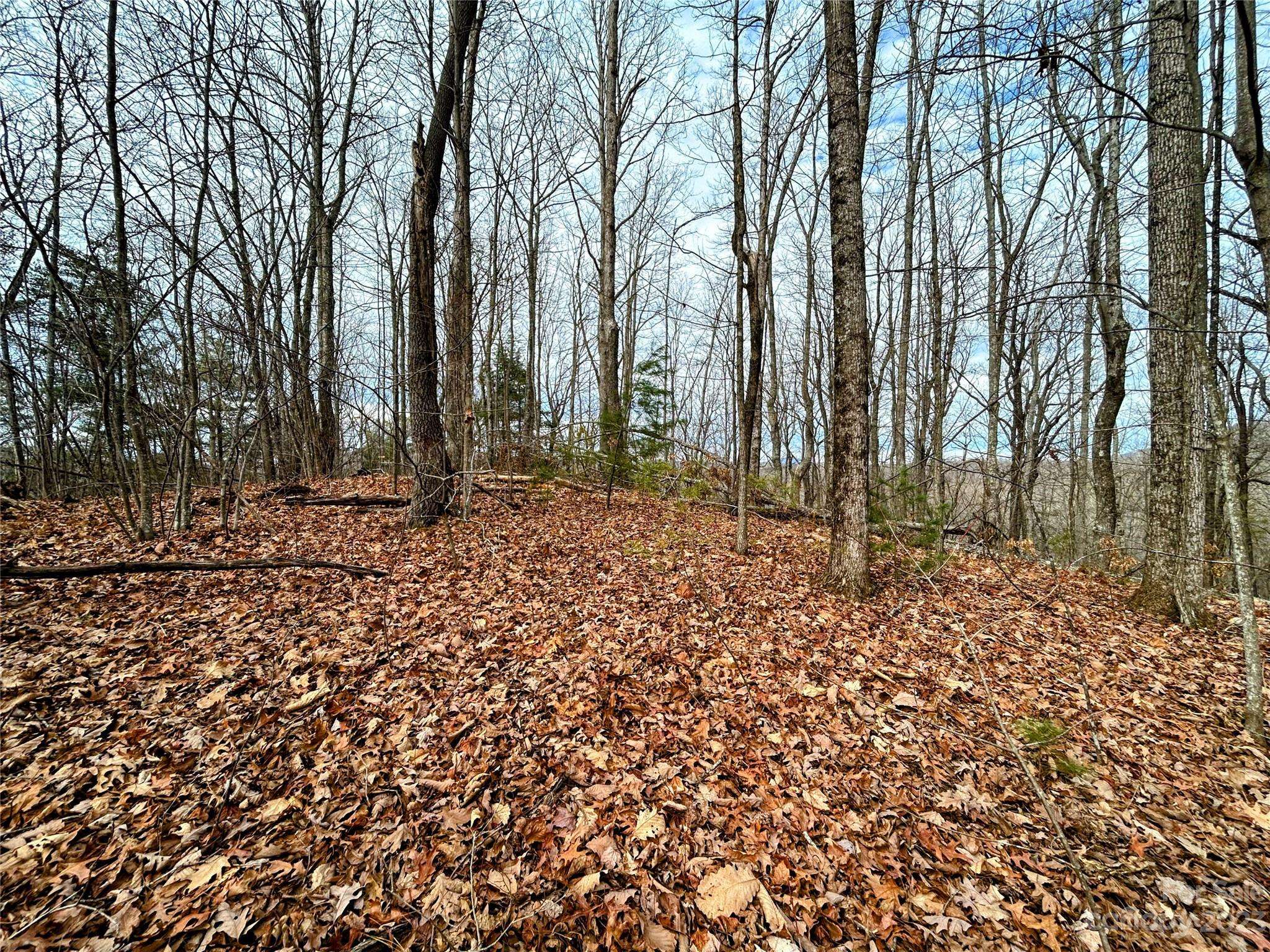 Lot 12 Rhododendron DR, Saluda, NC 28773