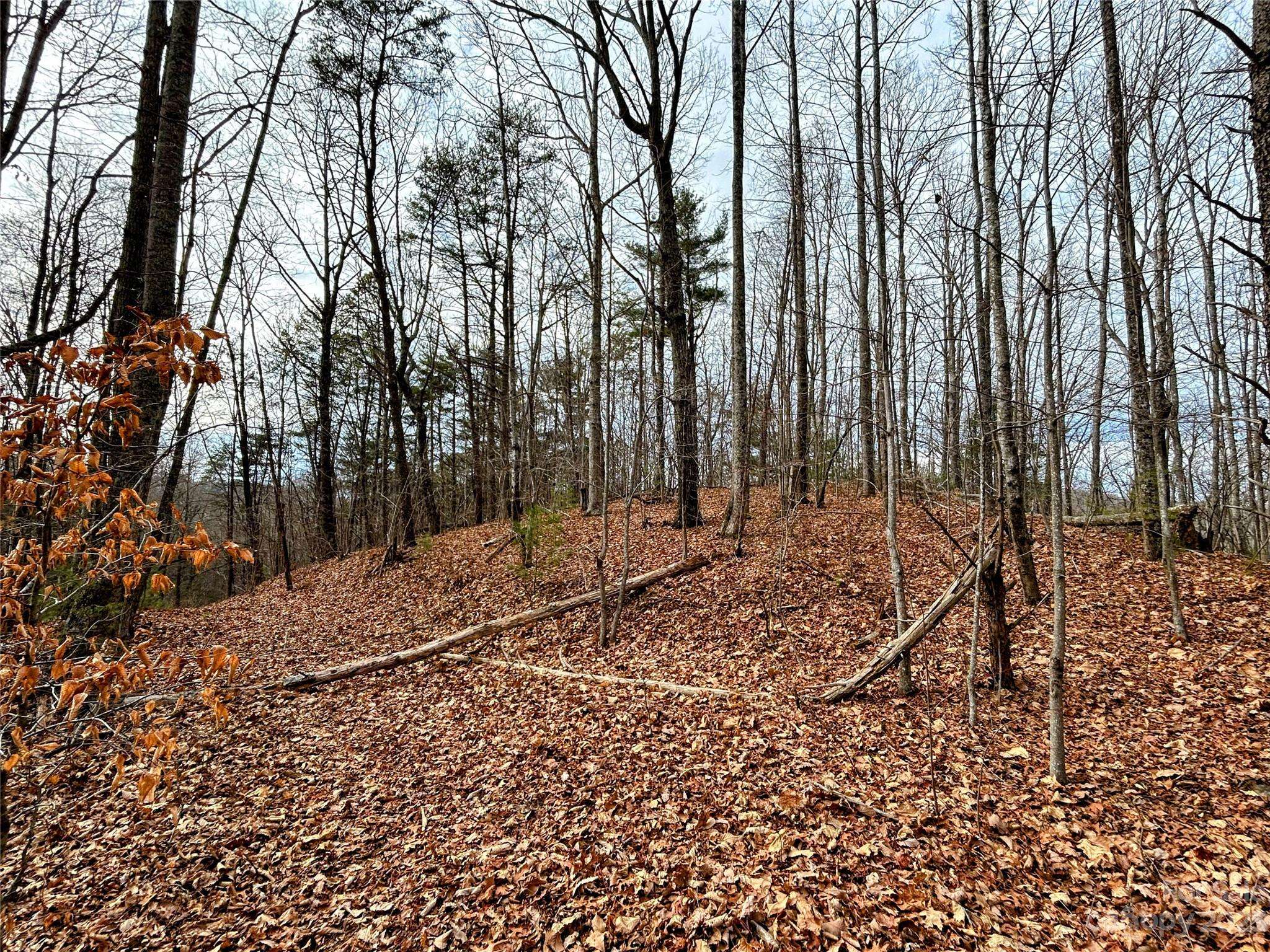 Lot 12 Rhododendron DR, Saluda, NC 28773