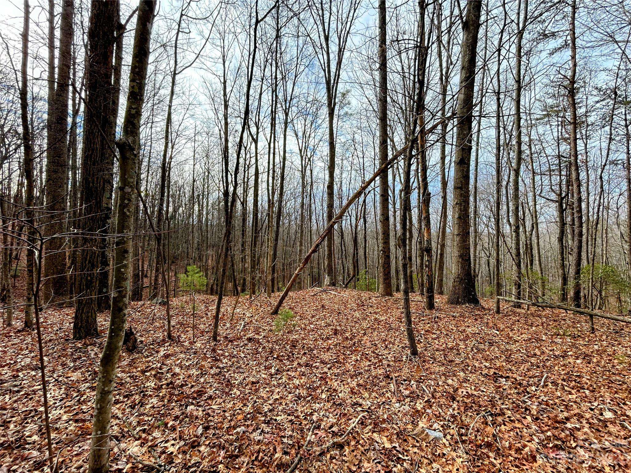 Lot 14 Rhododendron DR, Saluda, NC 28773